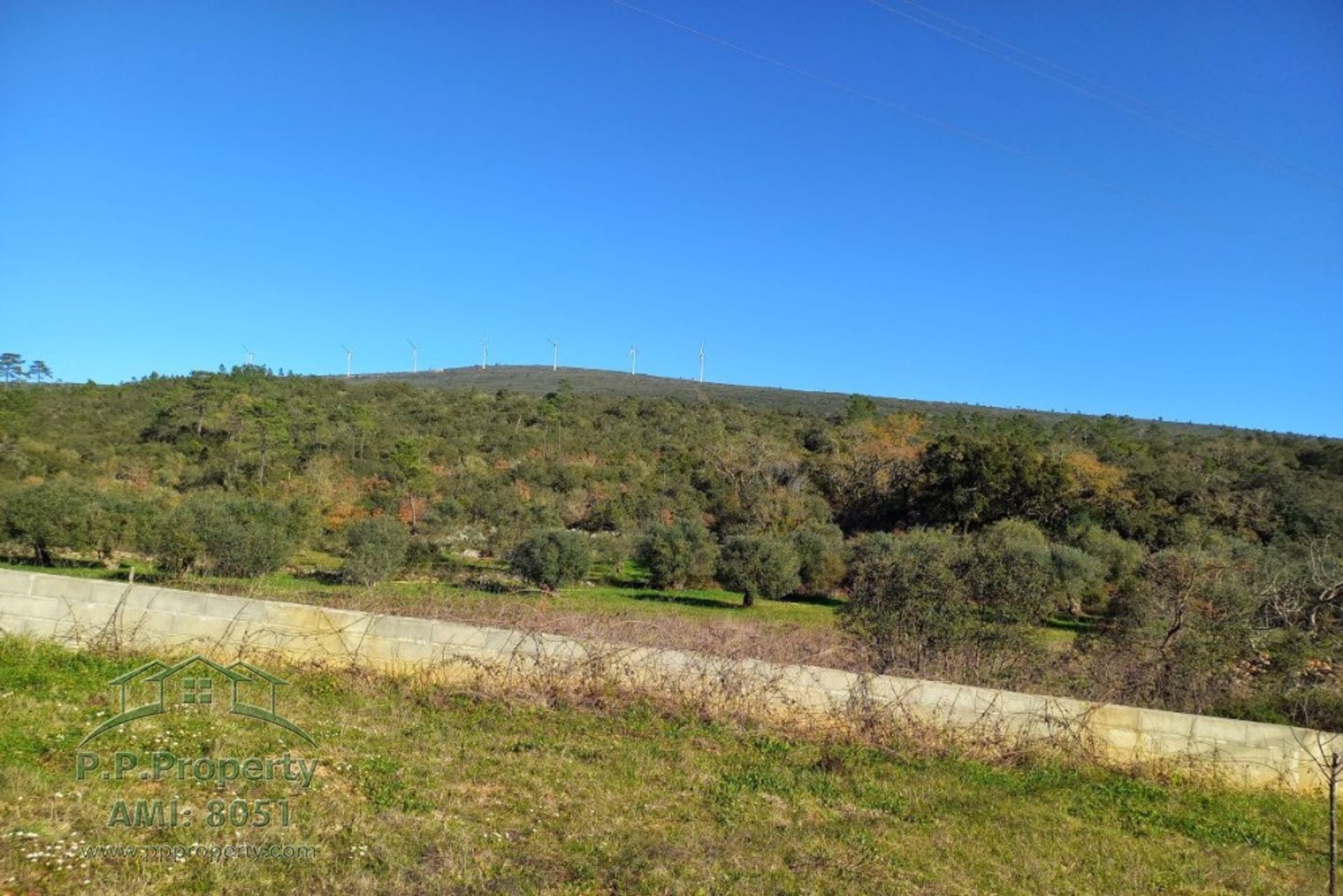 Condominium dans Alvaiázere, Leiria 10138118