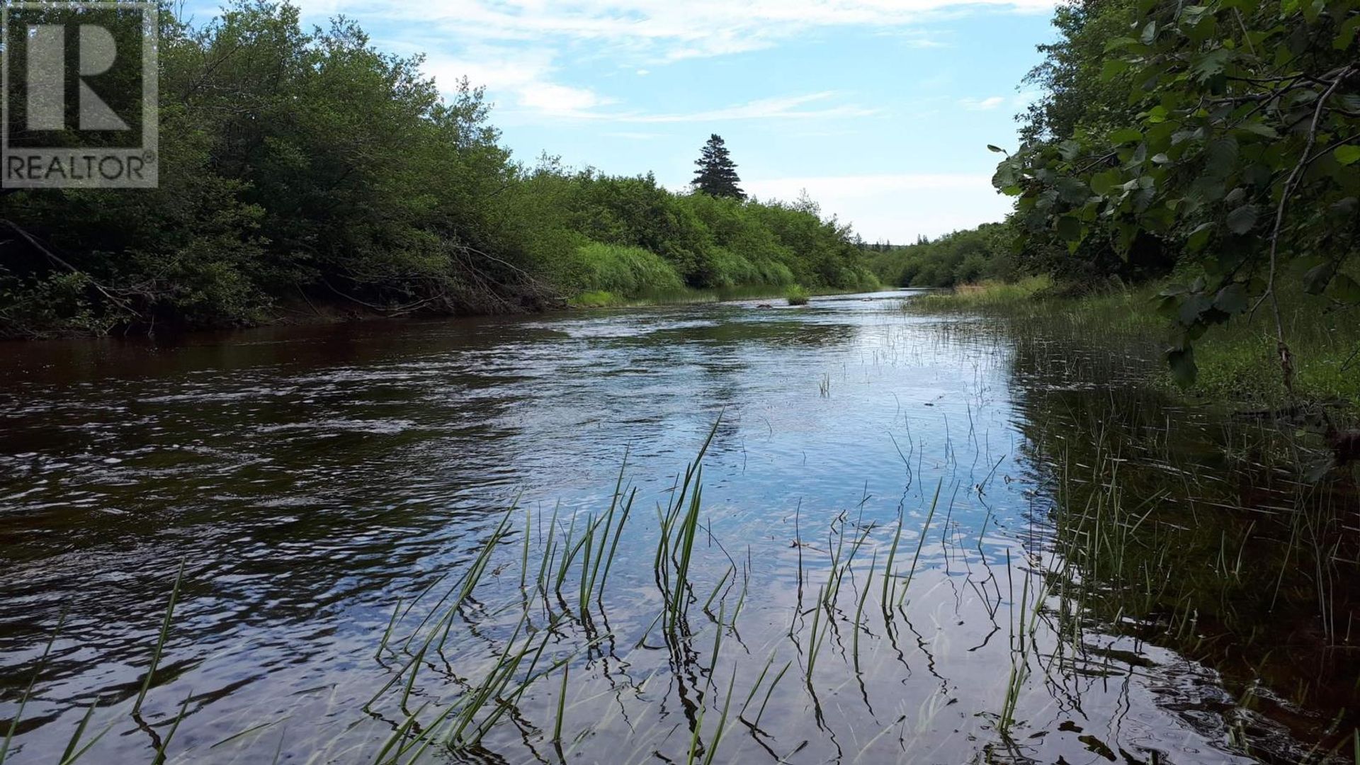 ארץ ב Askilton, Nova Scotia 10138719