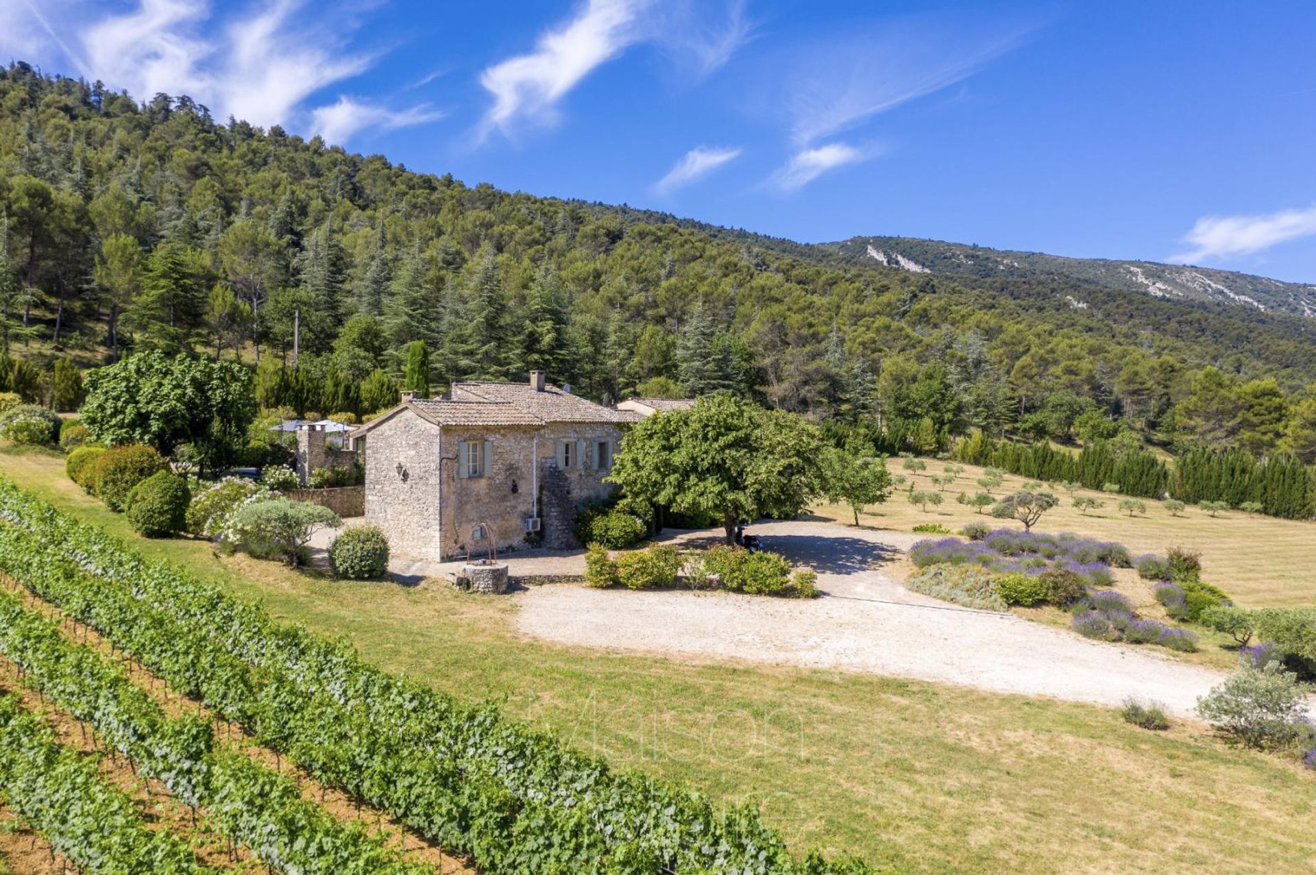 rumah dalam Ménerbes, Provence-Alpes-Côte d'Azur 10138907