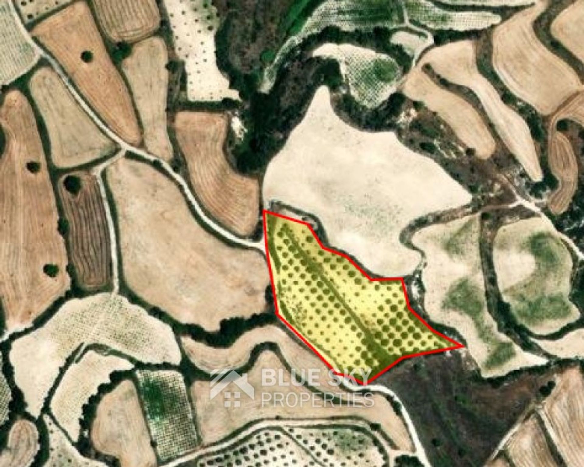 Wylądować w Mesa Chorio, Pafos 10139693