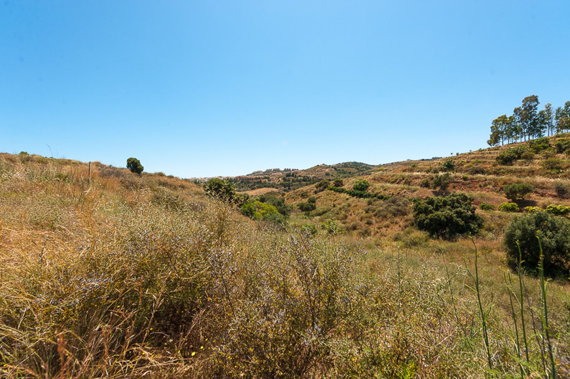 Land in Las Lagunas, Andalusia 10140958