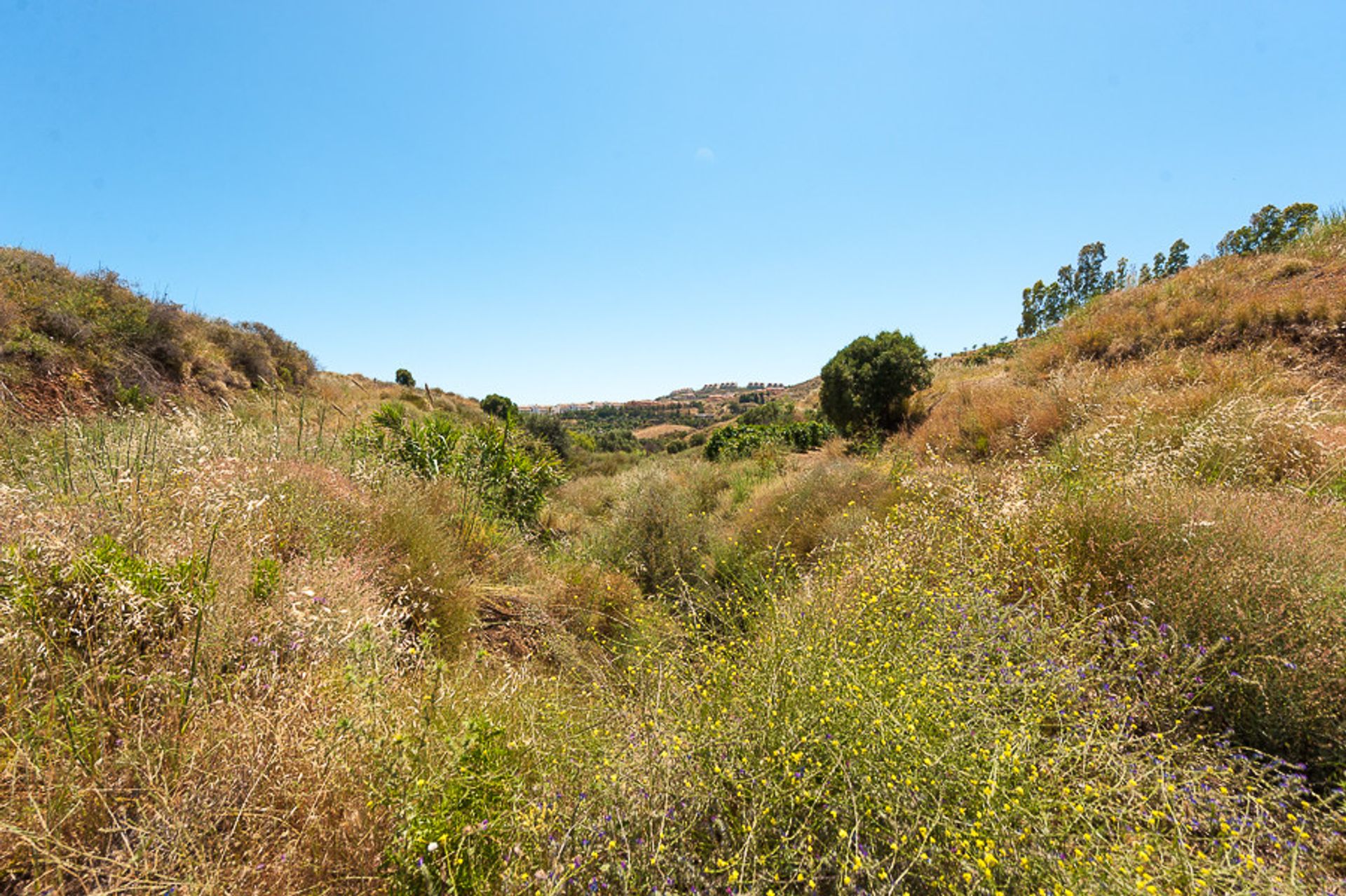 Land in Las Lagunas, Andalusia 10140958