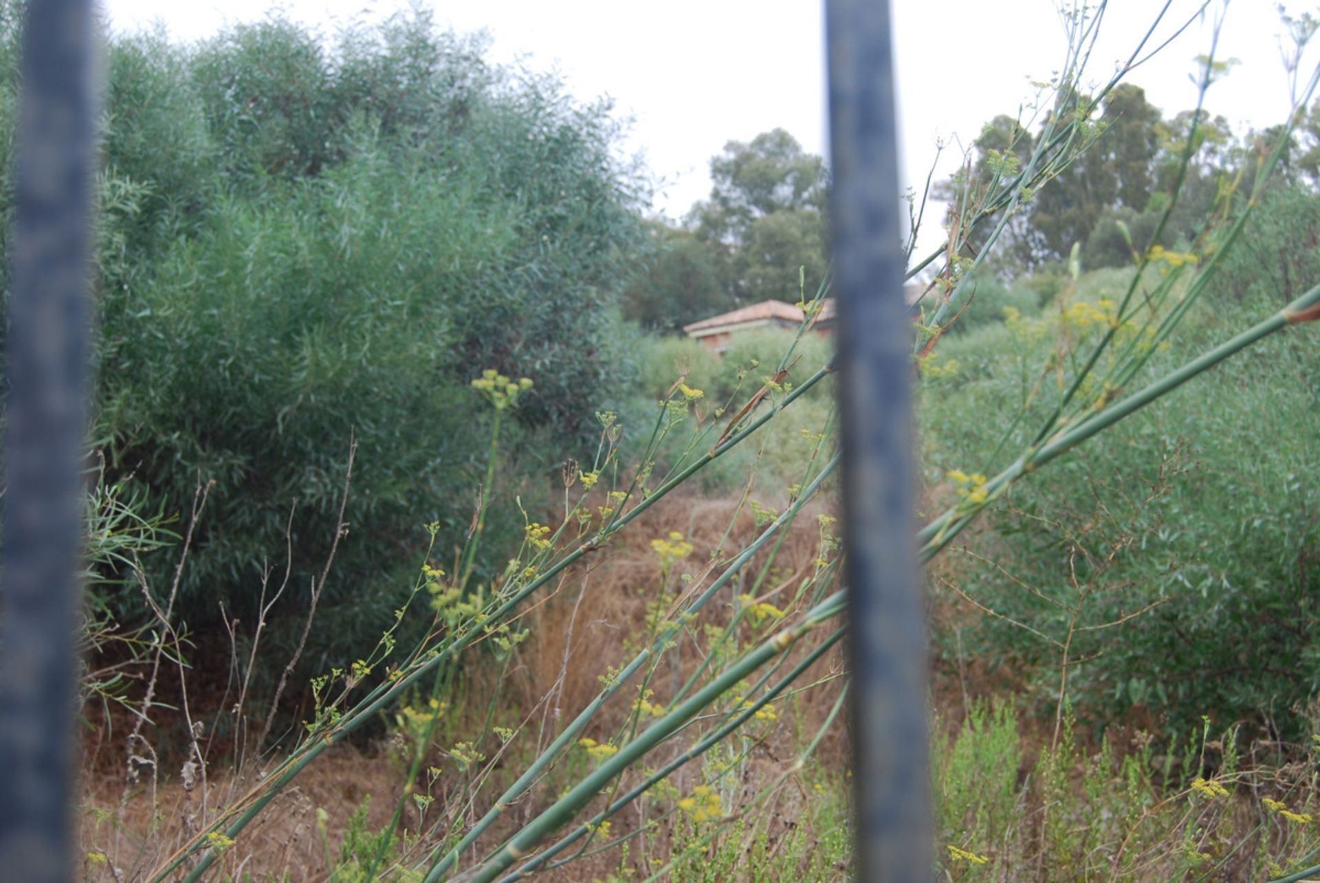 Tierra en Fuengirola, Andalucía 10141720