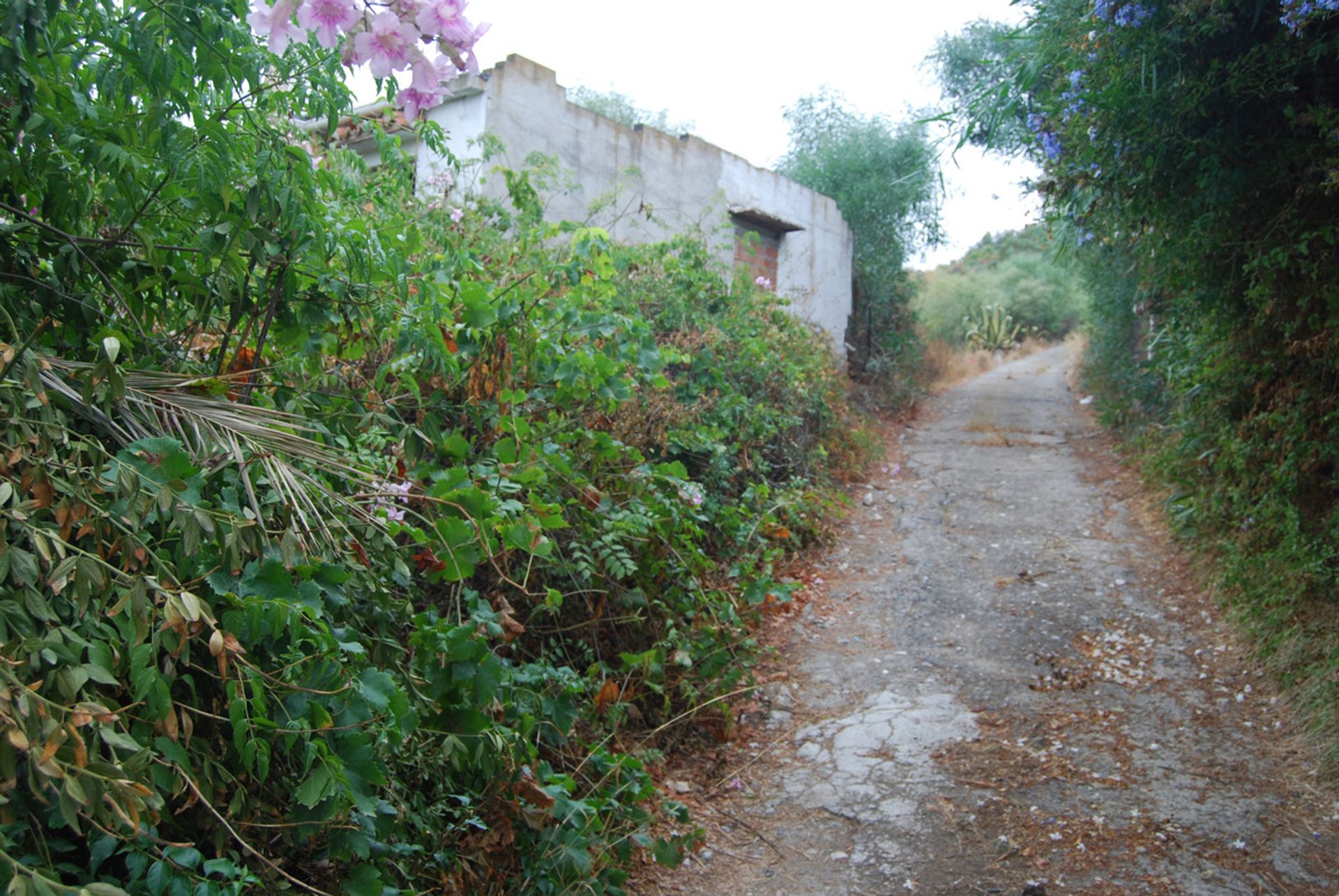 Land im Las Lagunas, Andalusia 10141720