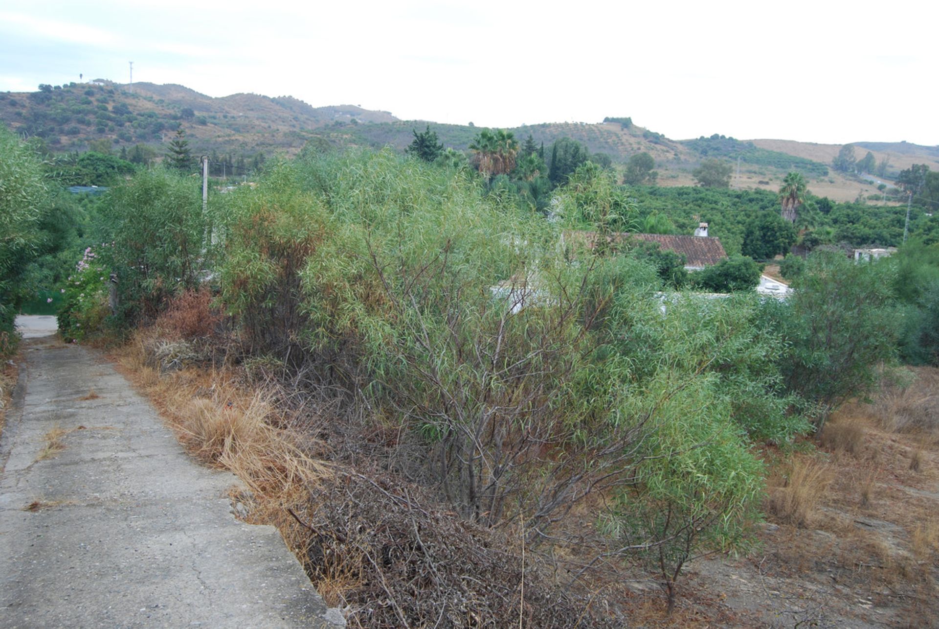 Land im Las Lagunas, Andalusia 10141720