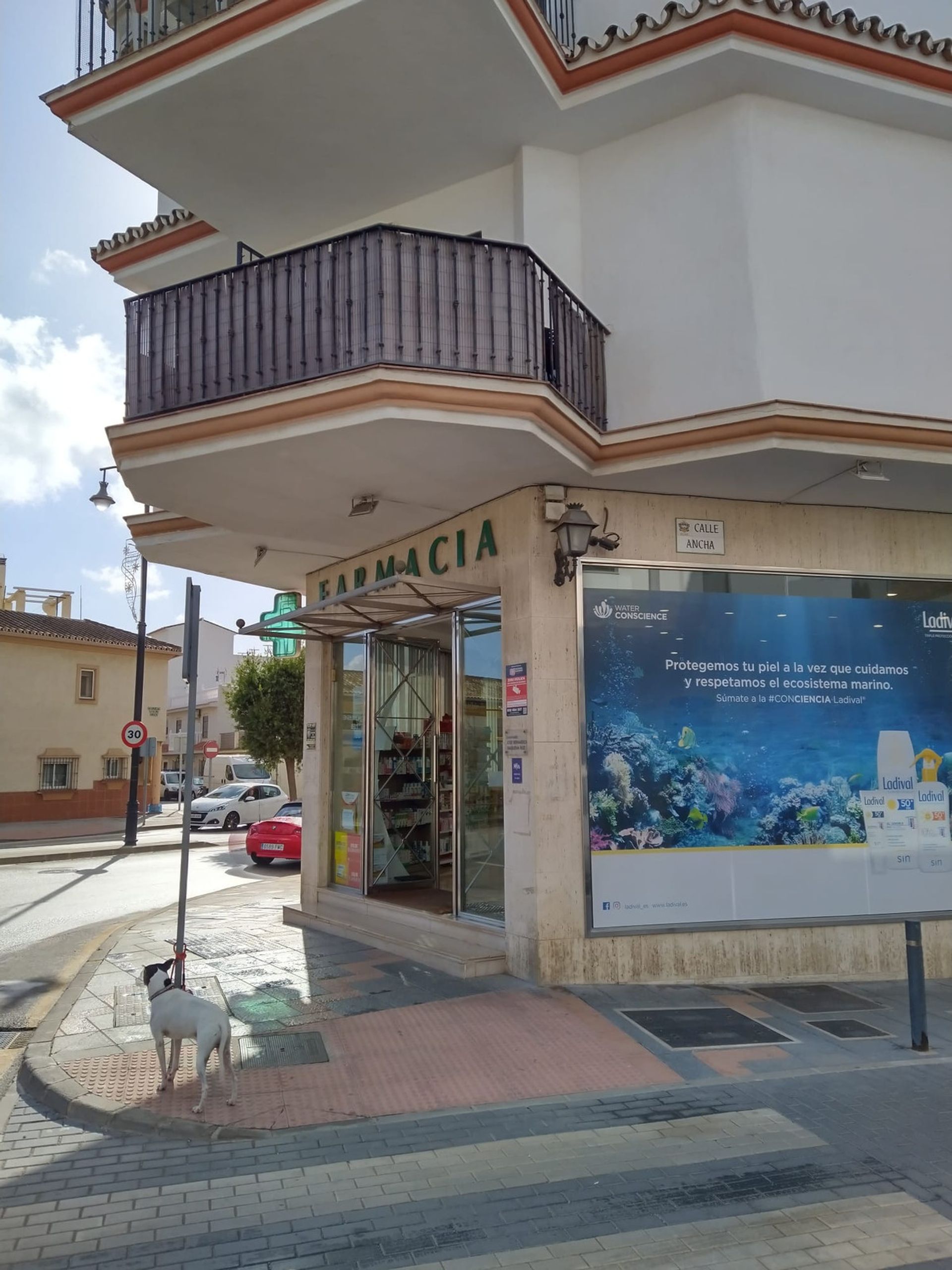 Maa sisään Fuengirola, Andalusia 10143268