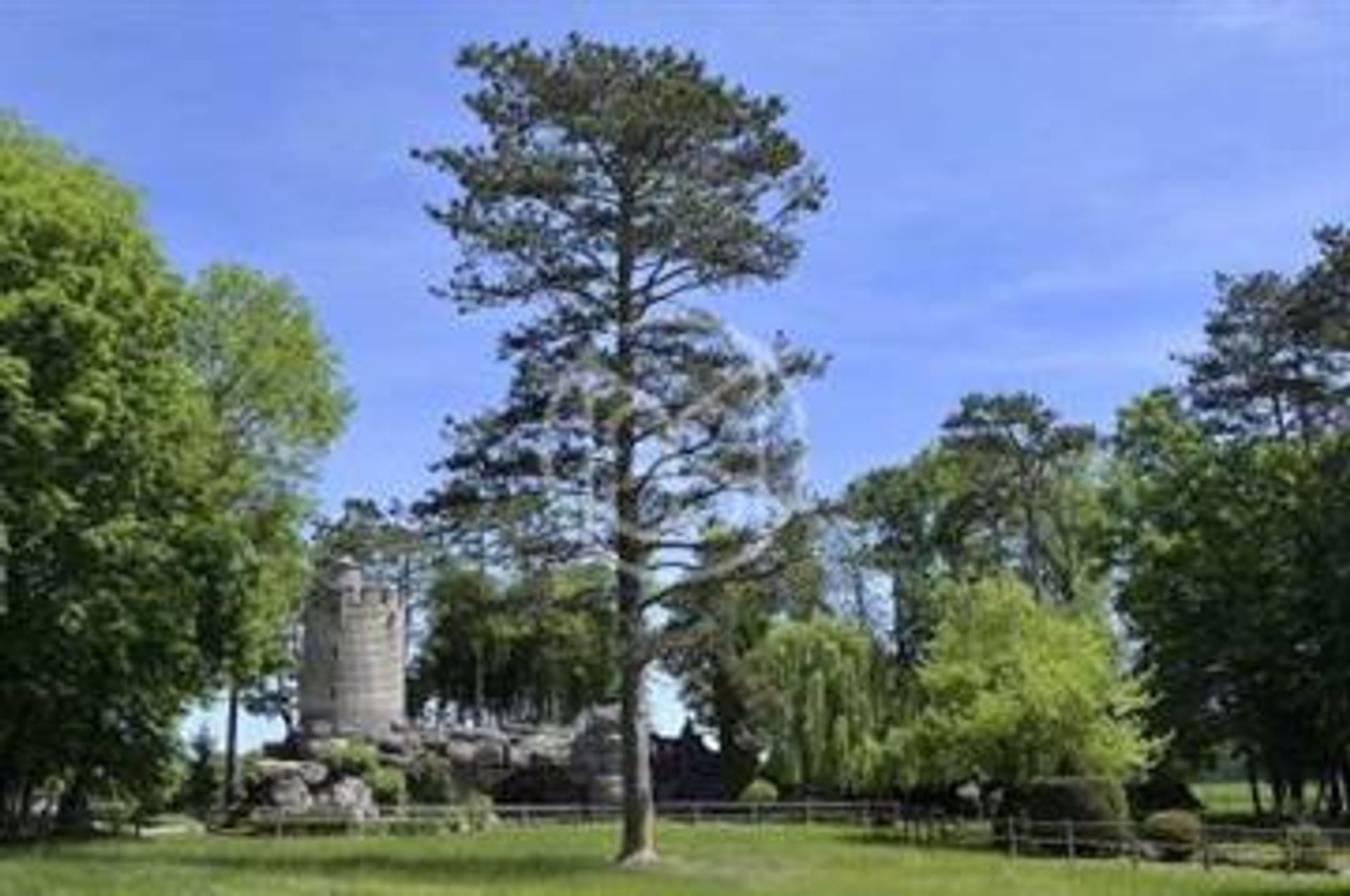 Huis in Brienne-le-Château, Grand Est 10145651