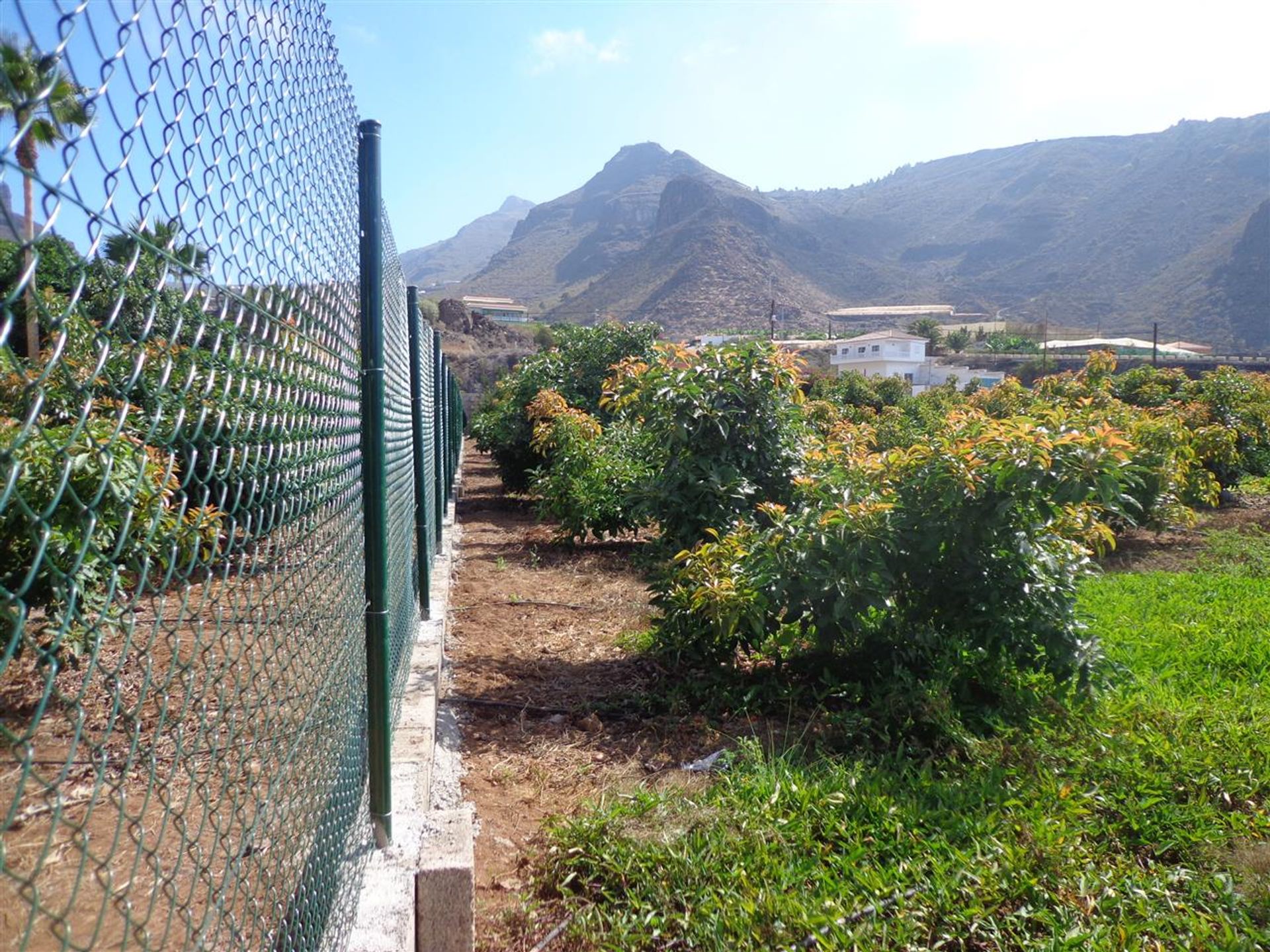 Huis in Acantilados de Los Gigantes, Canarias 10145733