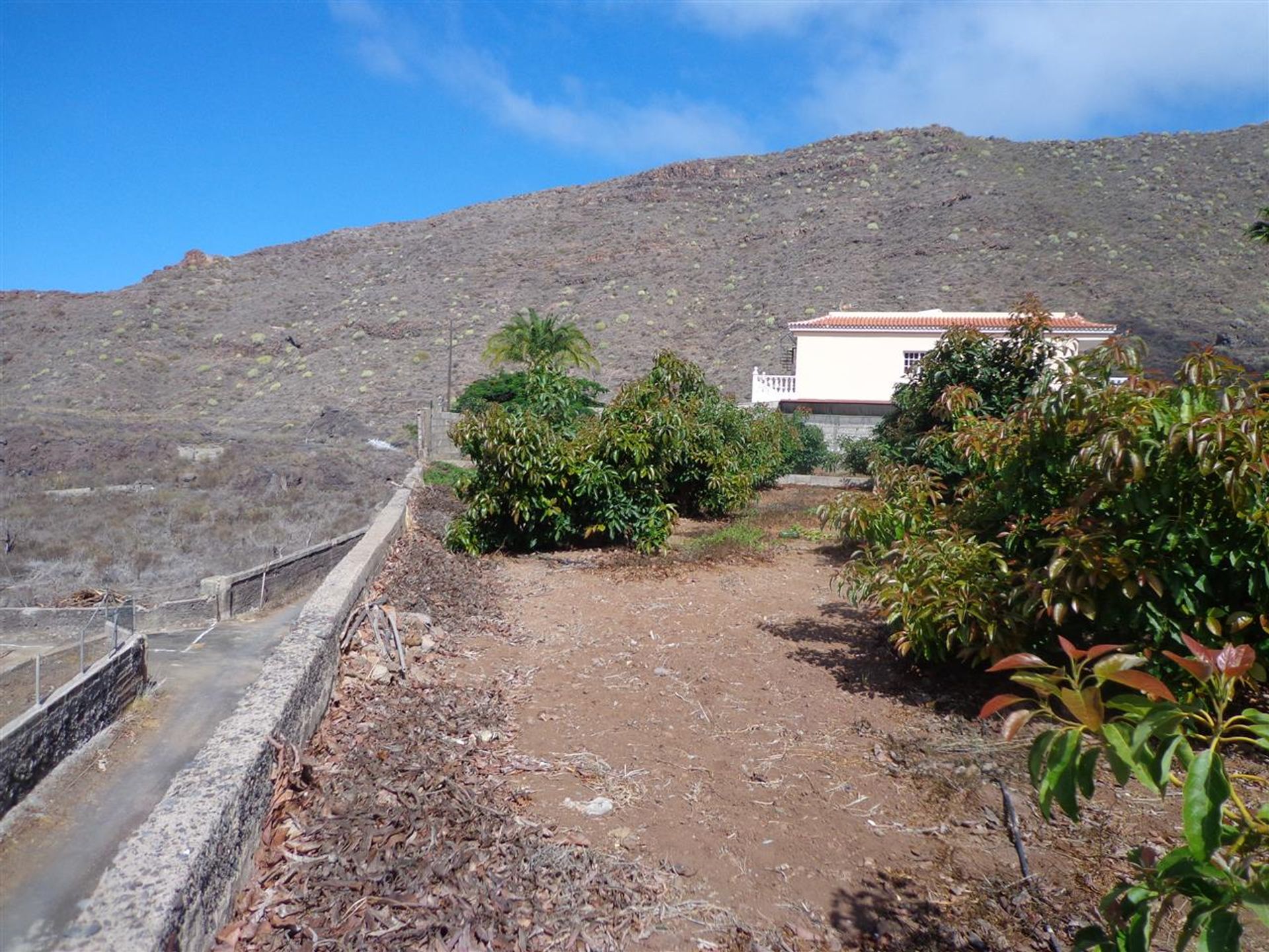 House in Acantilados de Los Gigantes, Canarias 10145733