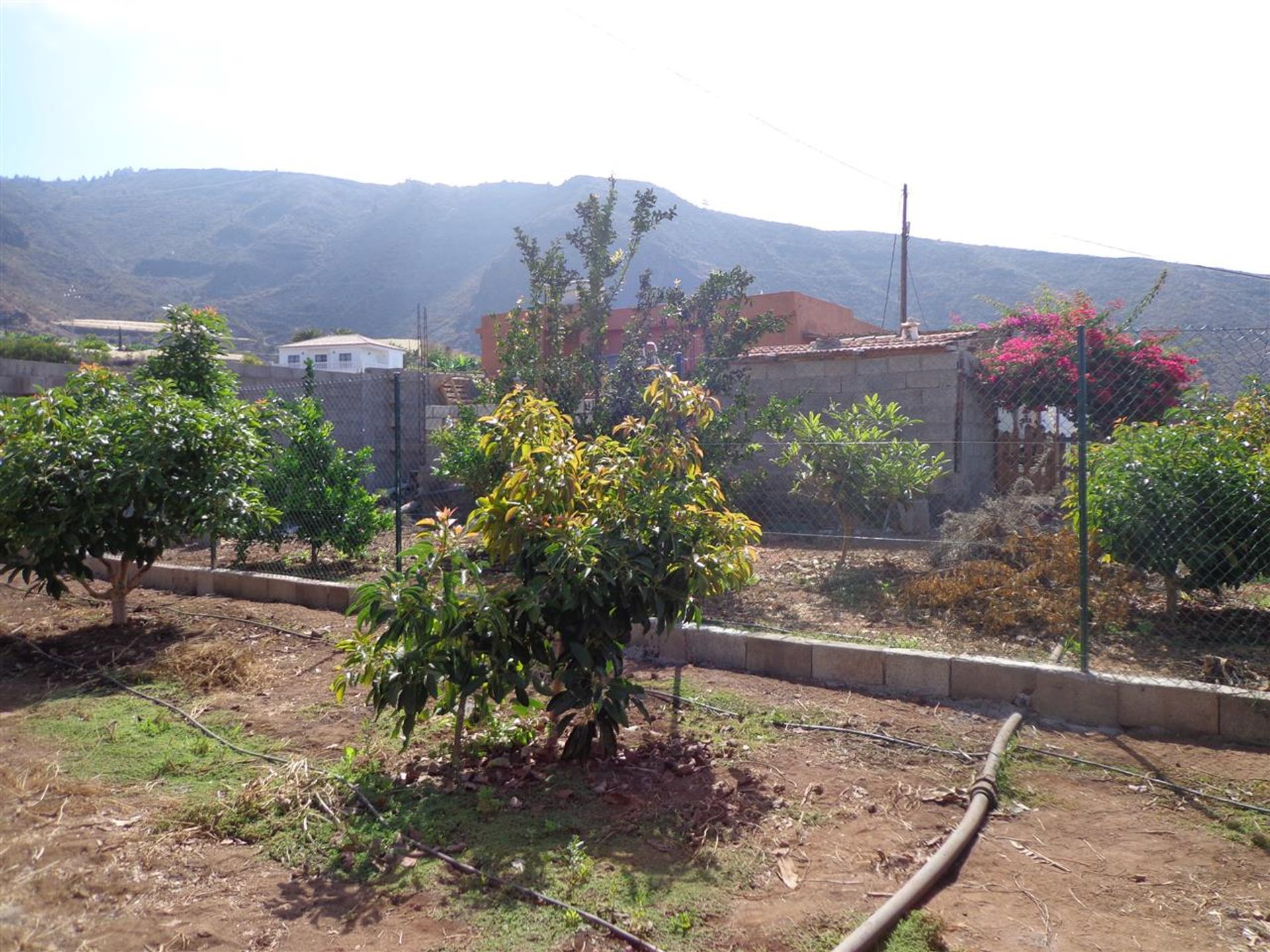 Huis in Acantilados de Los Gigantes, Canarias 10145733