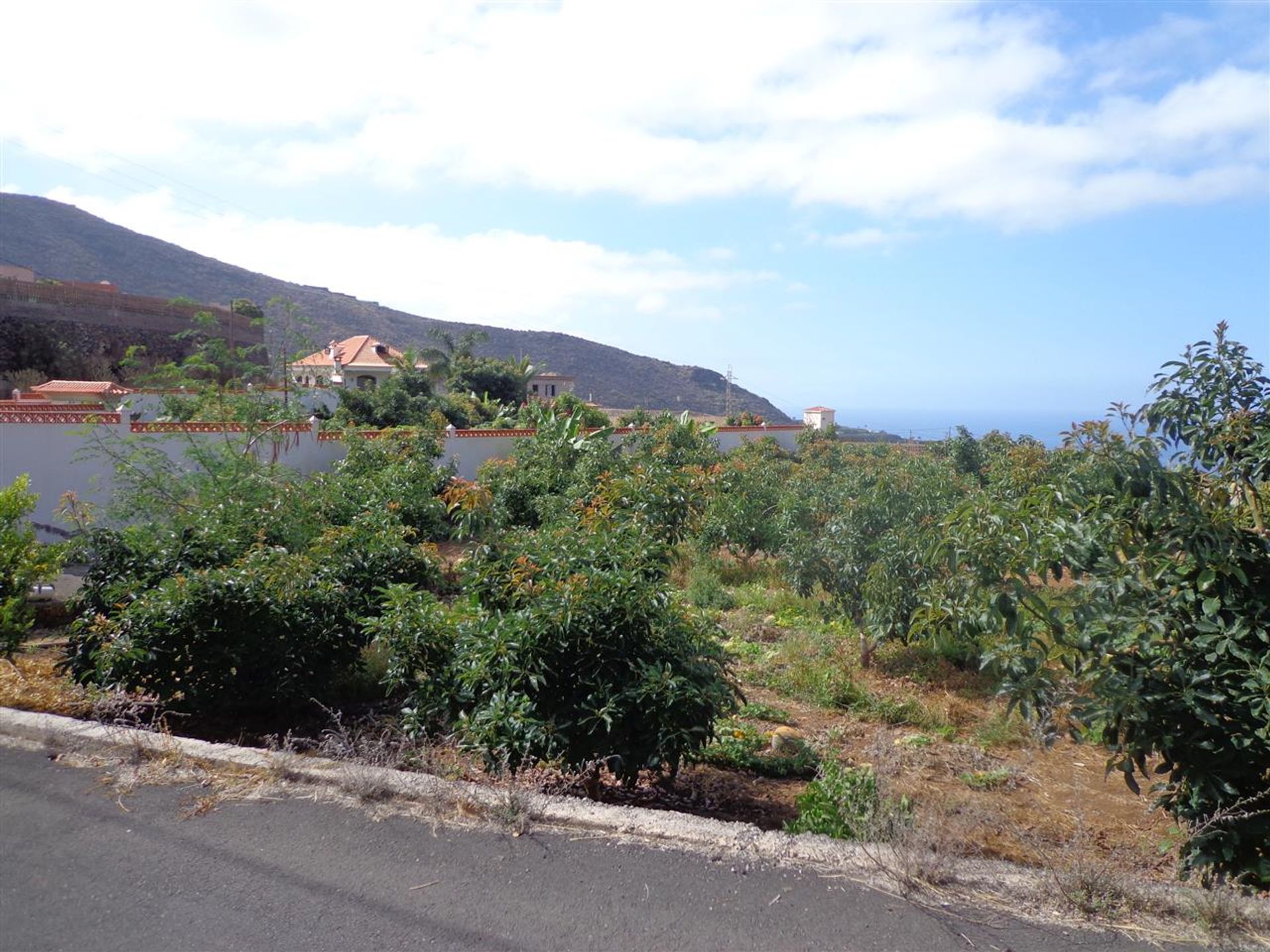 Dom w Acantilados de Los Gigantes, Canarias 10145733