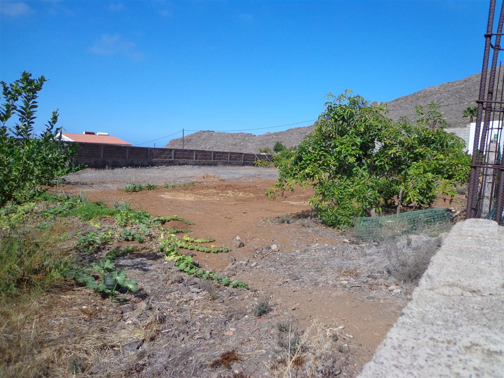 Hus i Acantilados de Los Gigantes, Canarias 10145733