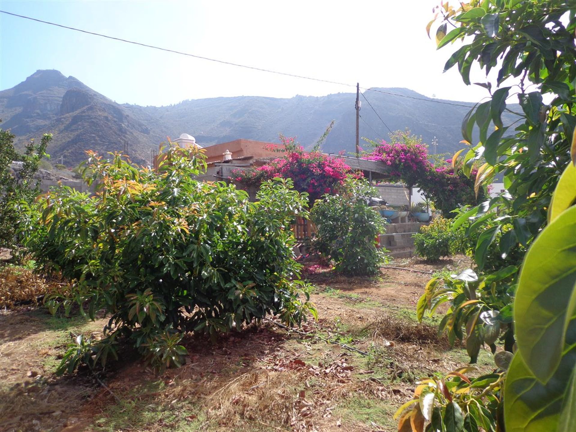 Rumah di Acantilados de Los Gigantes, Canarias 10145733