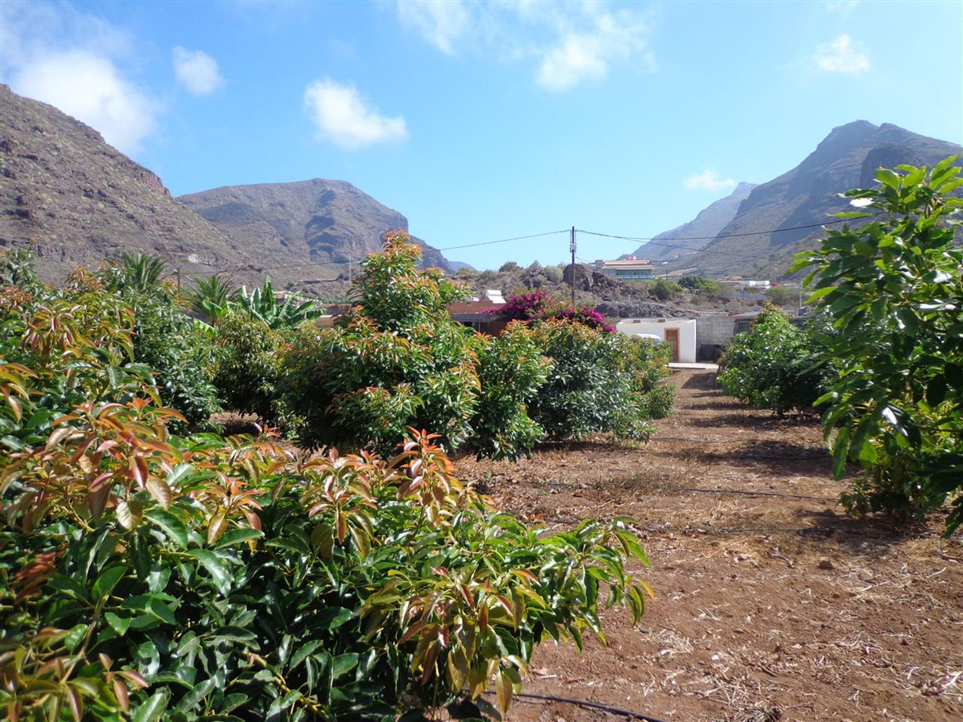 房子 在 Acantilados de Los Gigantes, Canarias 10145733