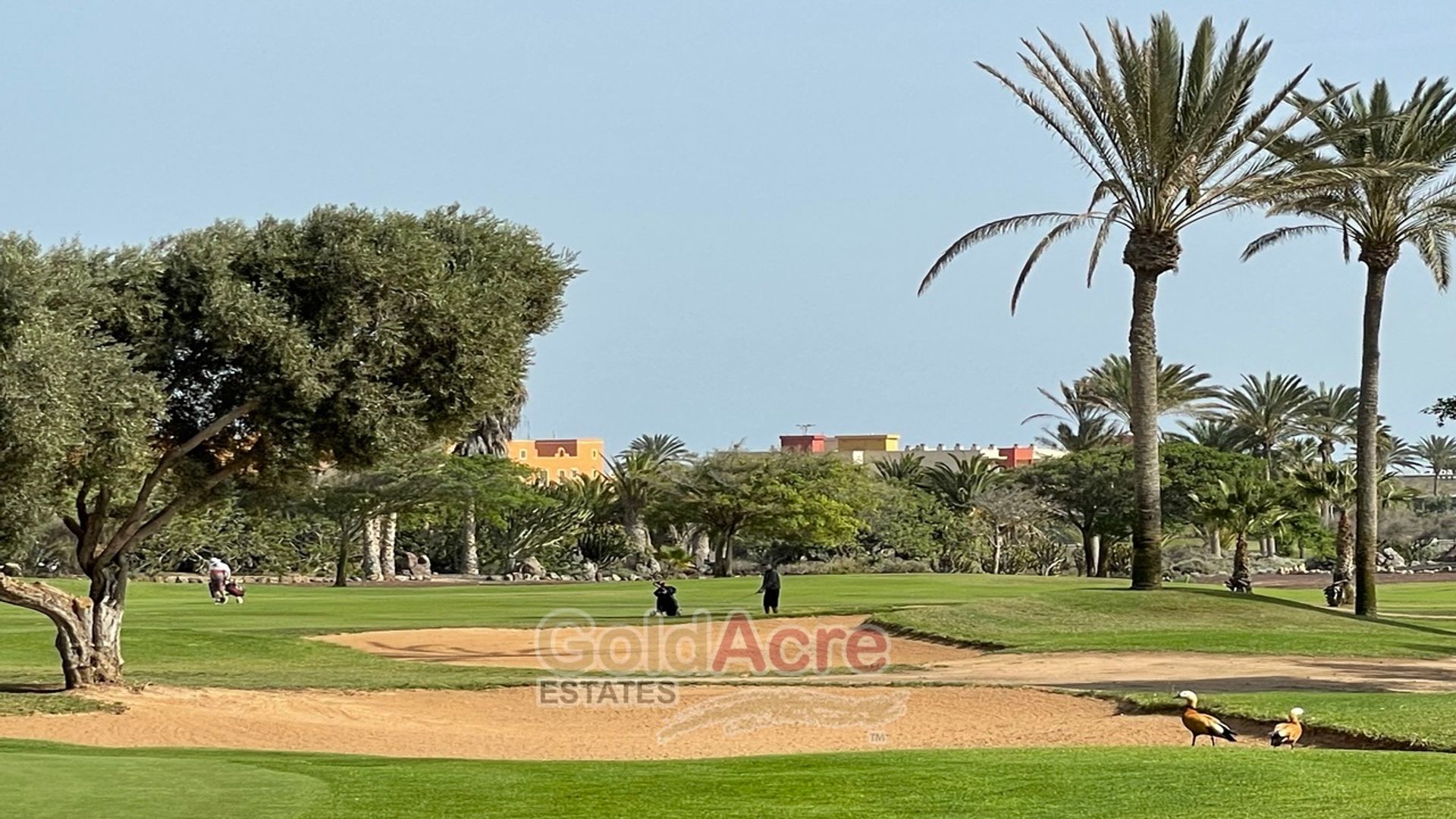 Haus im Castillo Caleta de Fuste, Canarias 10145769