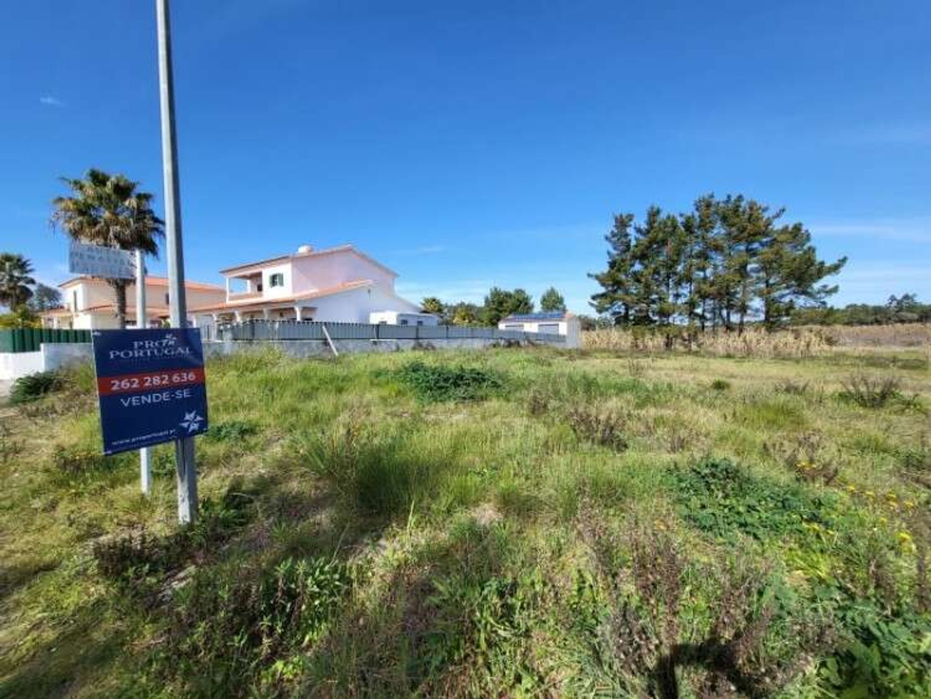 Land i Pinhal, Leiria 10146052