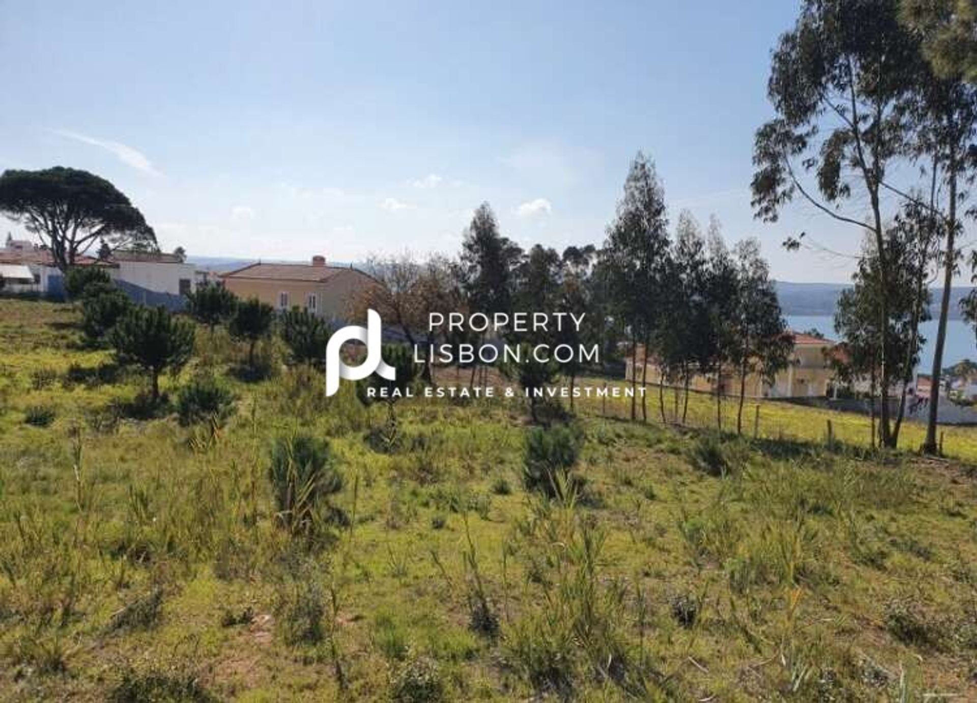 Land in Nadadouro, Leiria 10146066