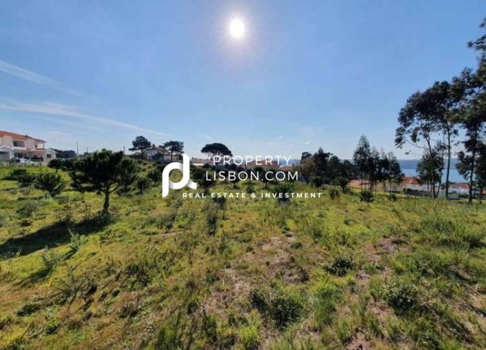 Land in Nadadouro, Leiria 10146066