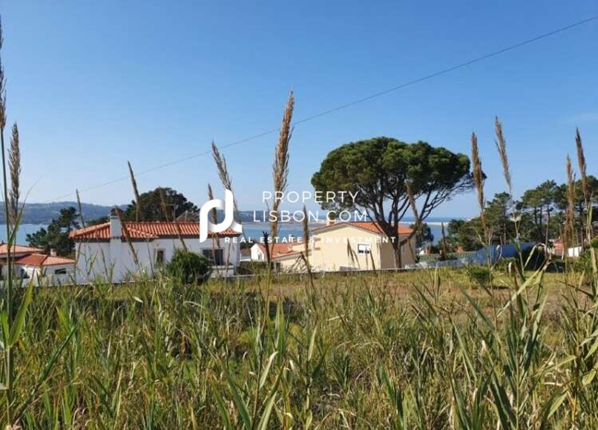 Land in Nadadouro, Leiria 10146066