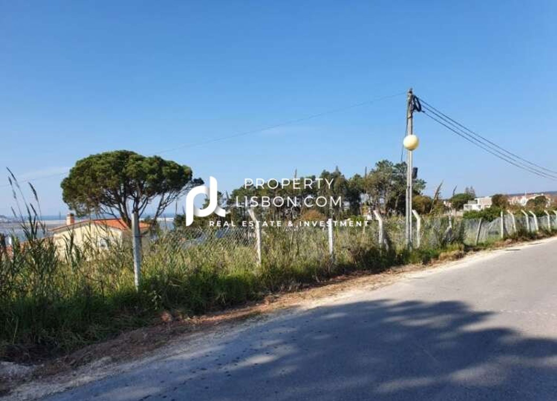 Land in Nadadouro, Leiria 10146066