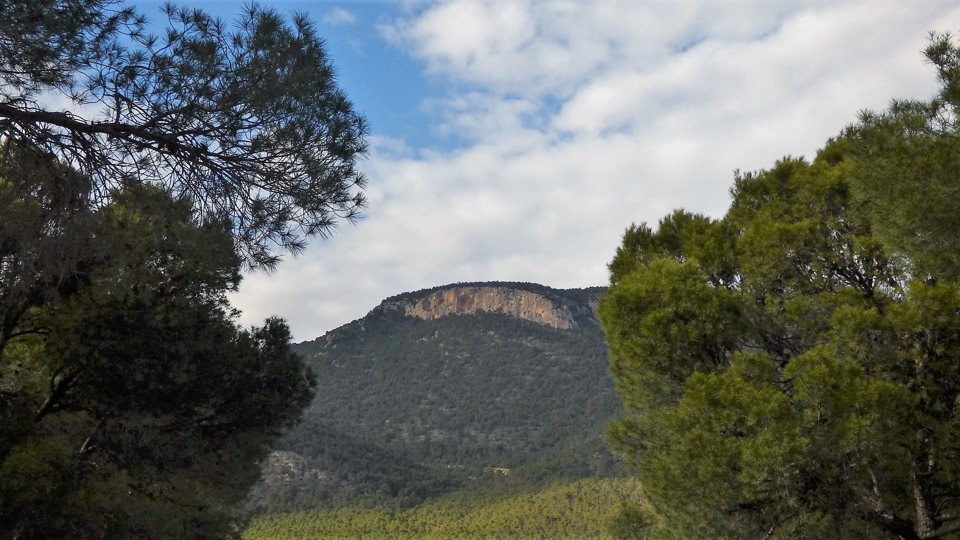 Земельные участки в , Región de Murcia 10146398