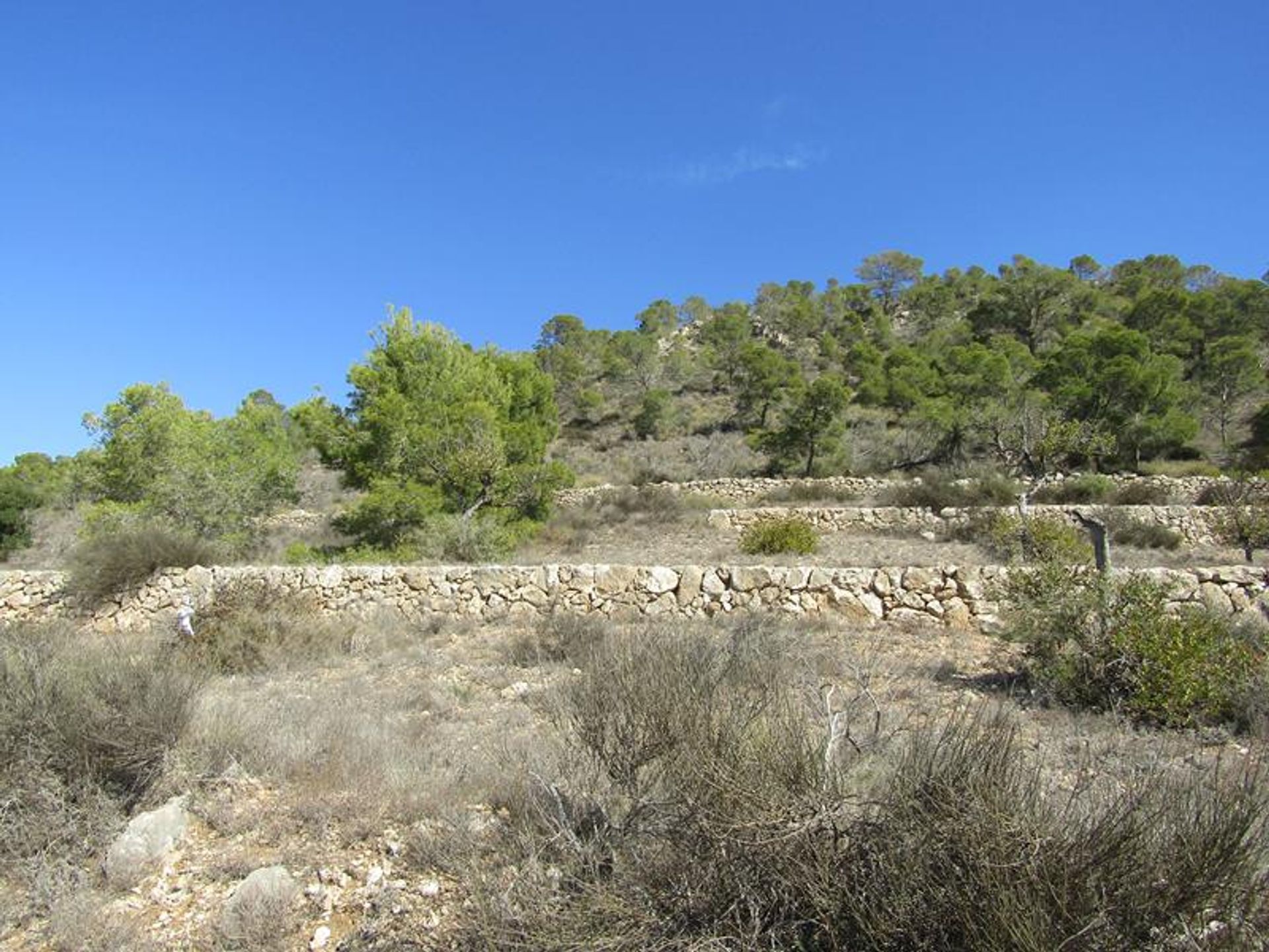 Casa nel La Romana, Alicante, Valencian Community 10146432