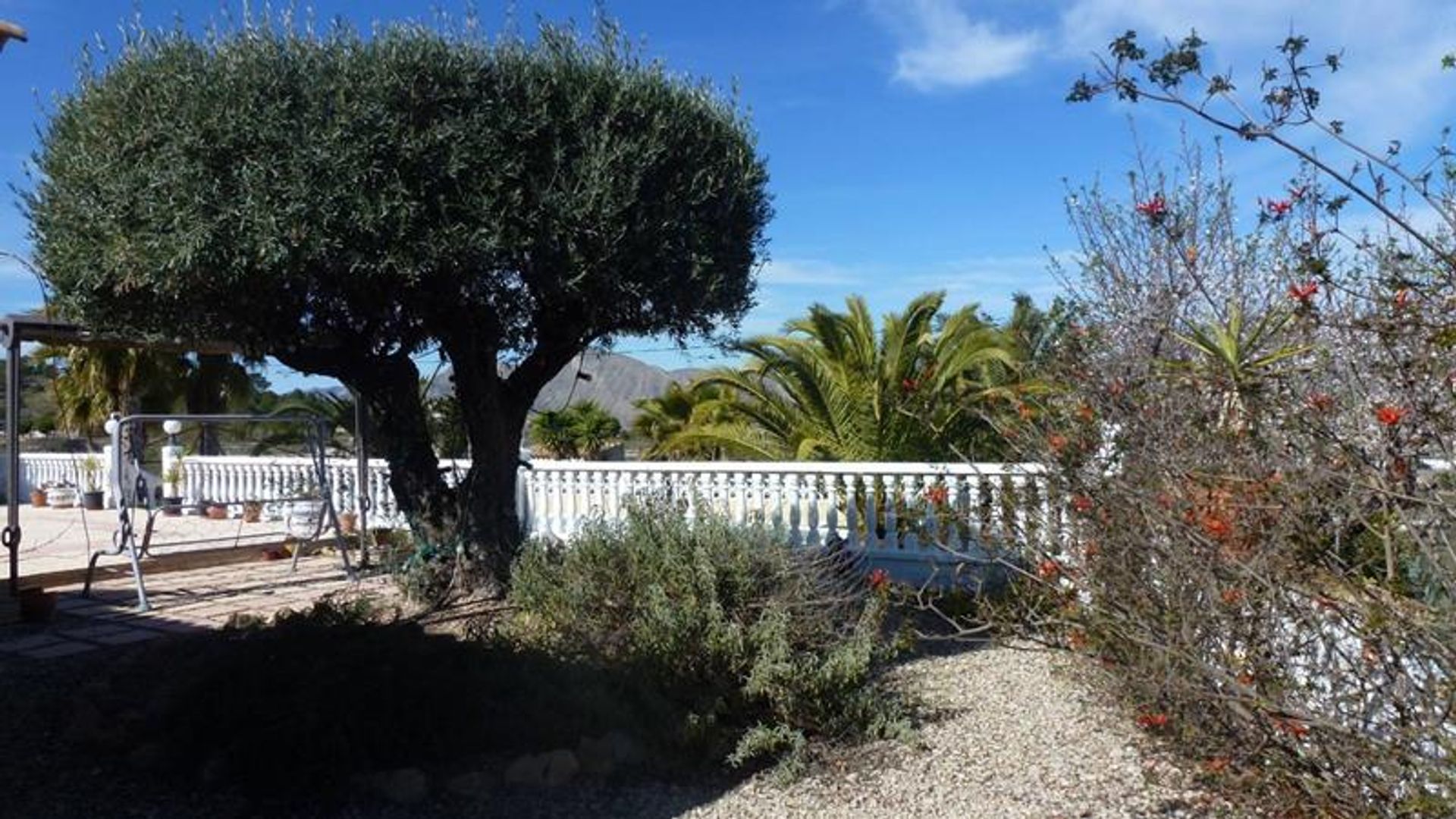 casa en Hondón de los Frailes, Valencian Community 10146438