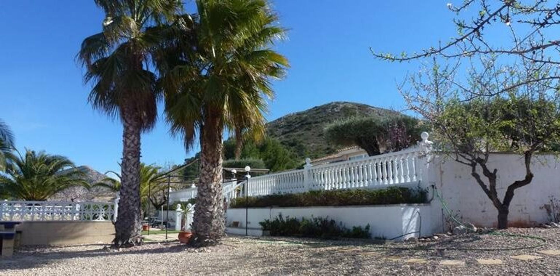 casa en Hondón de los Frailes, Valencian Community 10146438