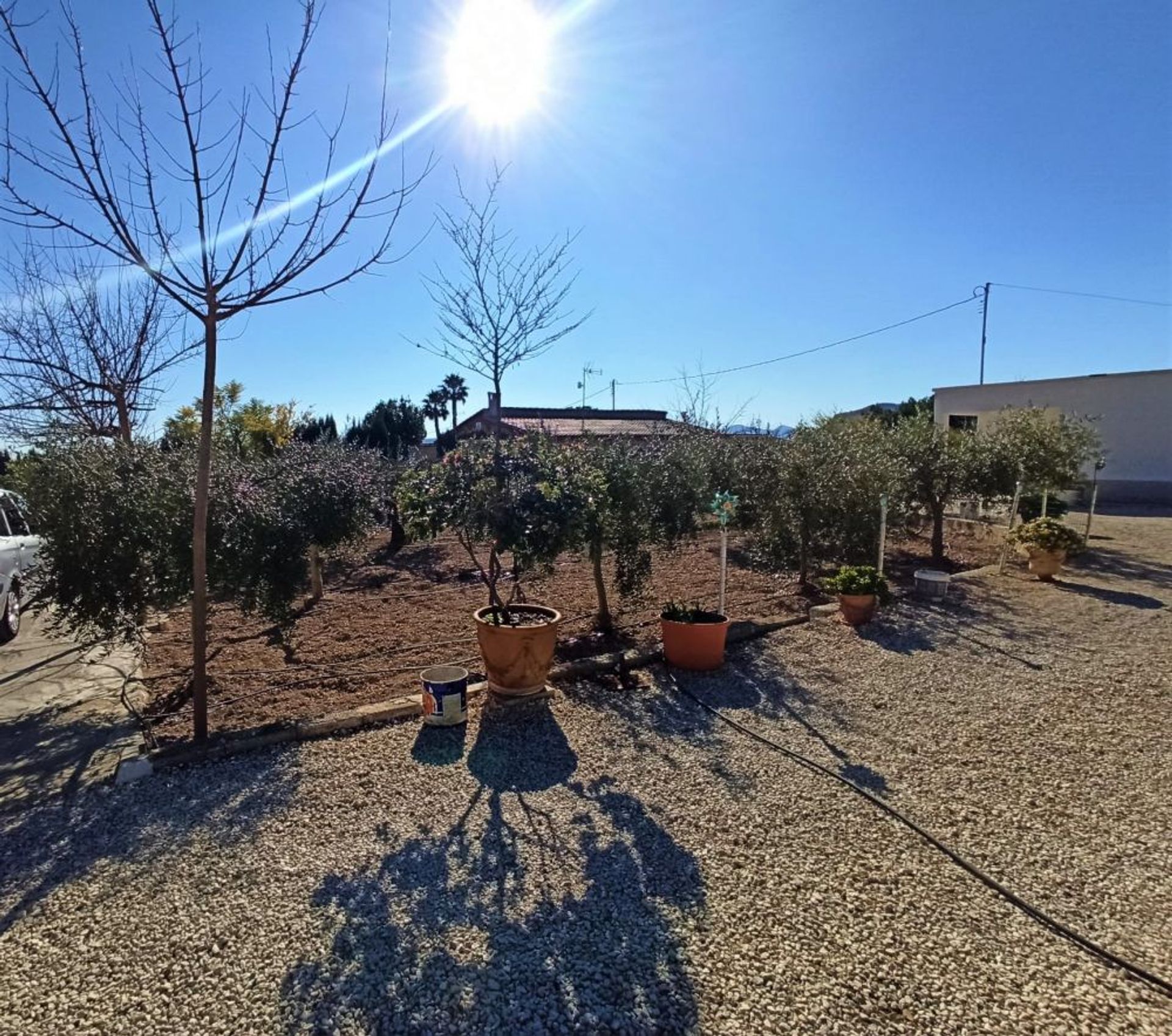 Rumah di La Romana, Alicante, Valencian Community 10146446