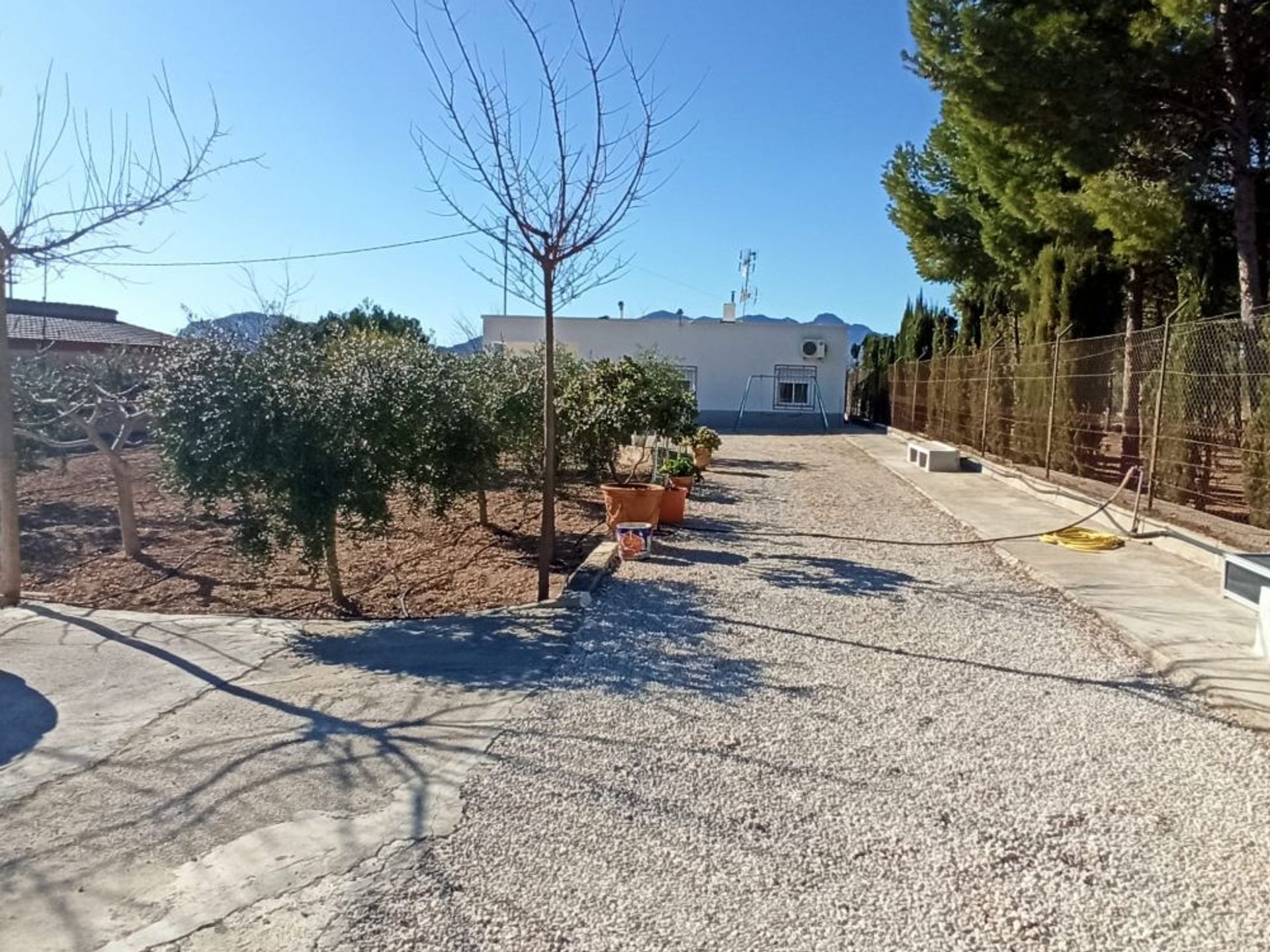 House in La Romana, Alicante, Valencian Community 10146446