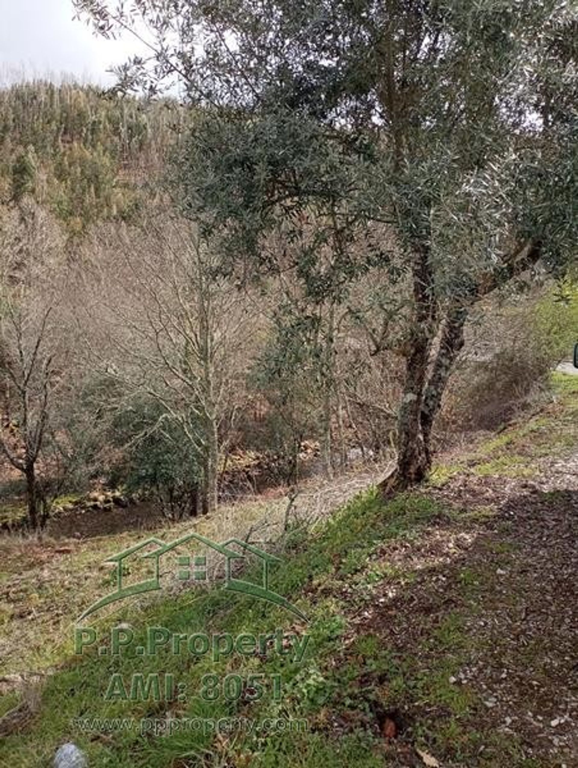 casa en Figueiró Dos Vinhos, Leiria District 10146504