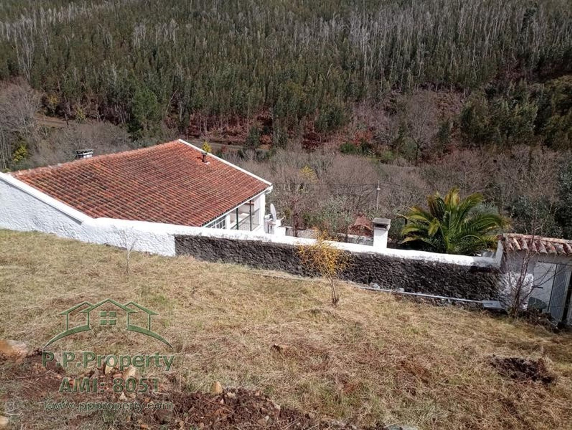 Haus im Ribeira de Sao Pedro, Leiria 10146504