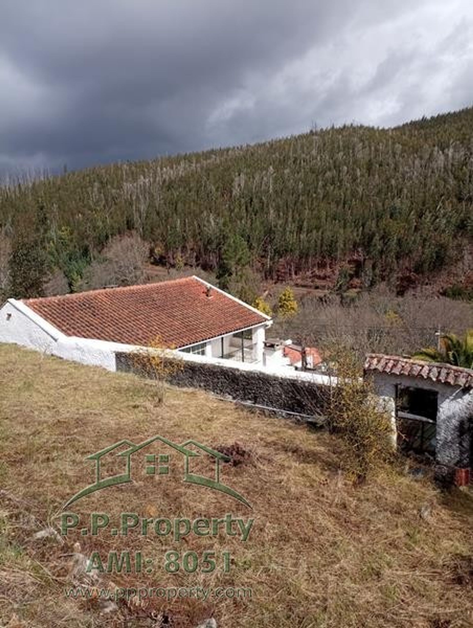 Haus im Ribeira de Sao Pedro, Leiria 10146504