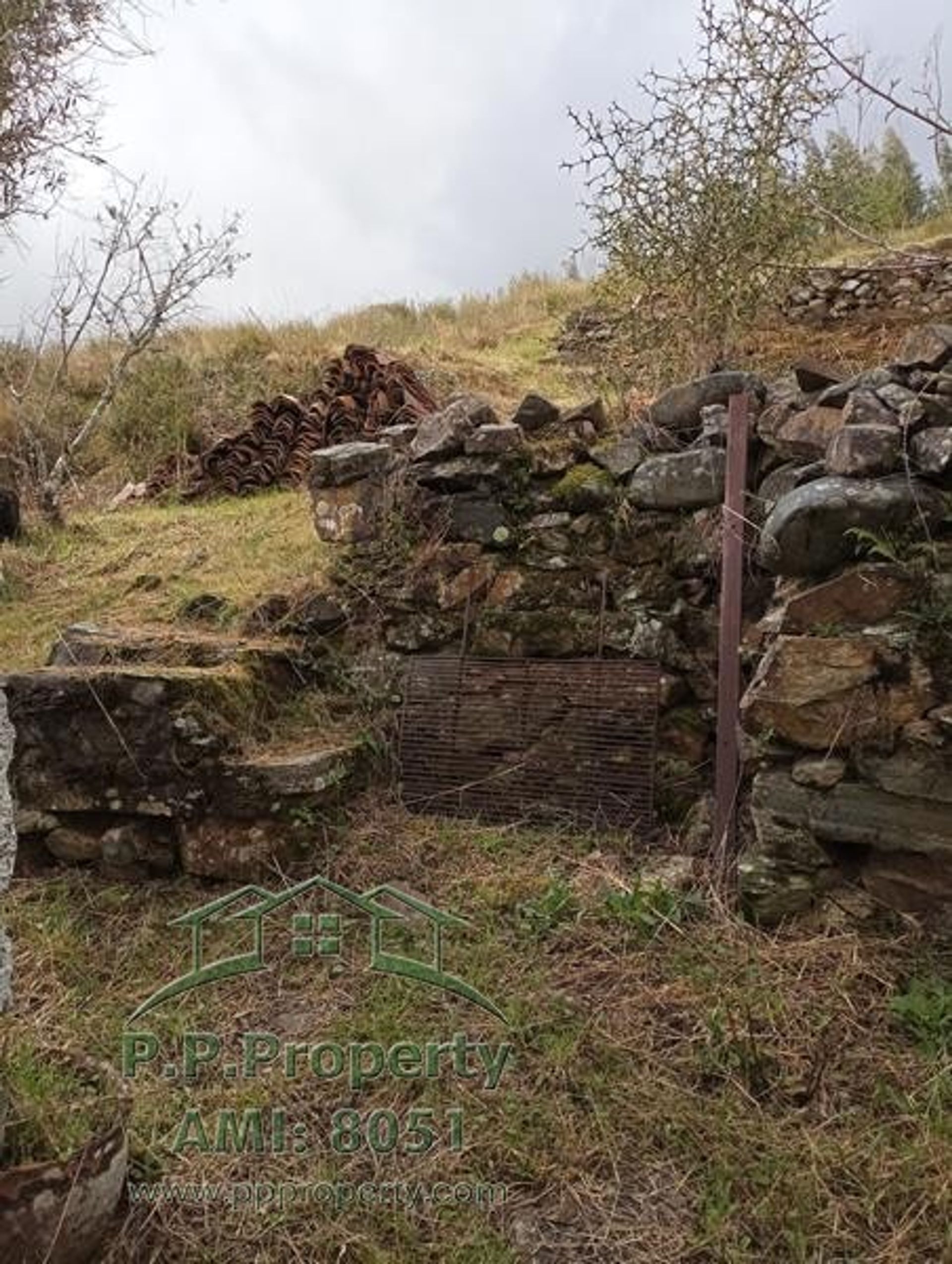 жилой дом в Figueiró Dos Vinhos, Leiria District 10146504