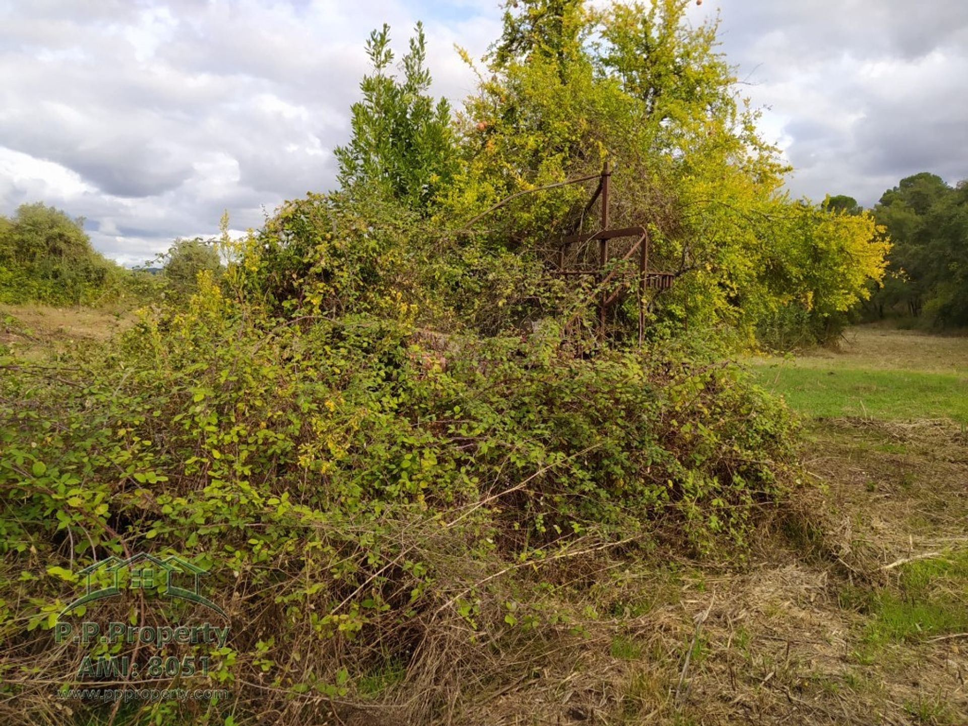 жилой дом в Tomar, Santarém District 10146520