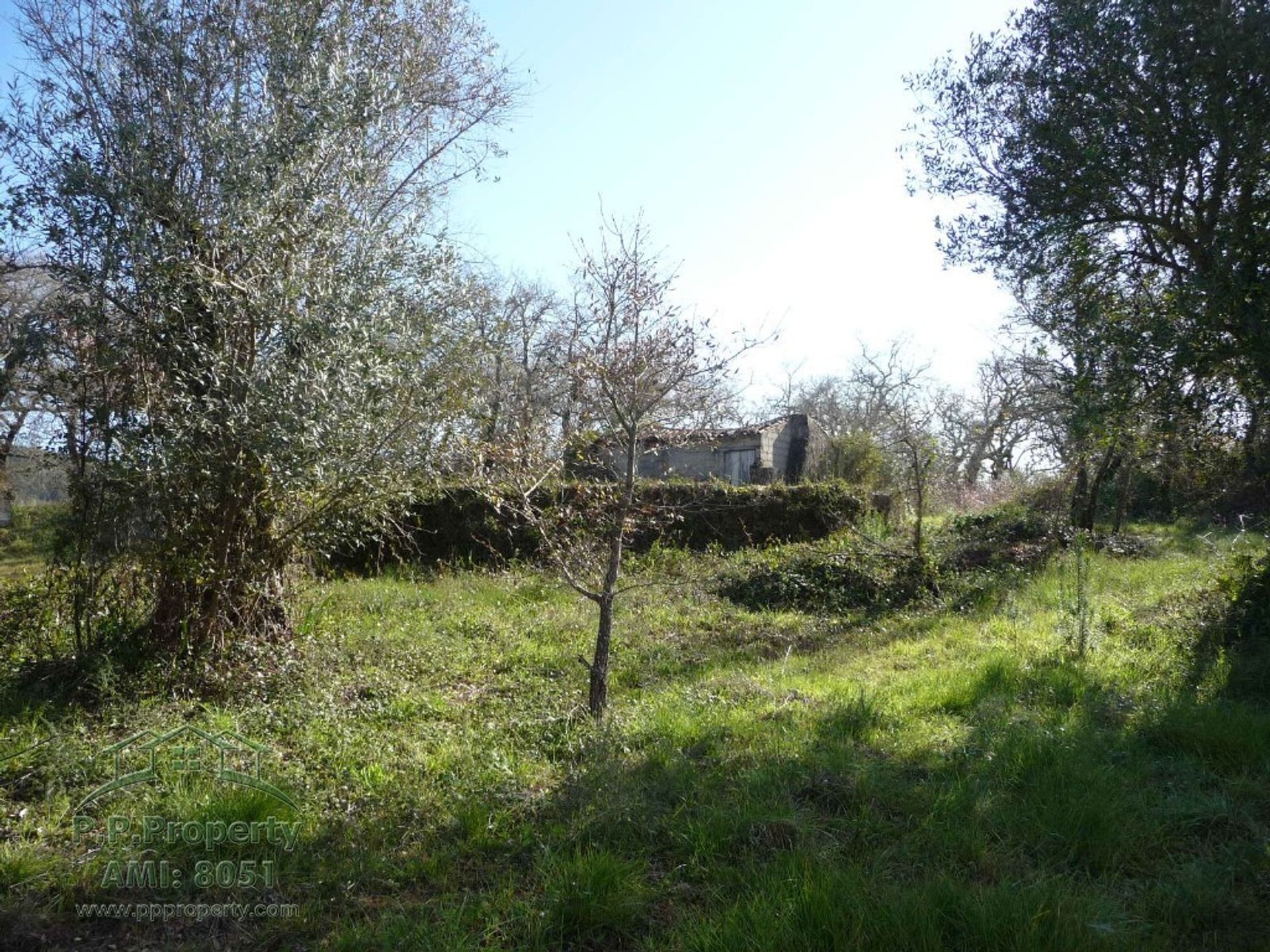 Rumah di Alvaiázere, Leiria 10146568