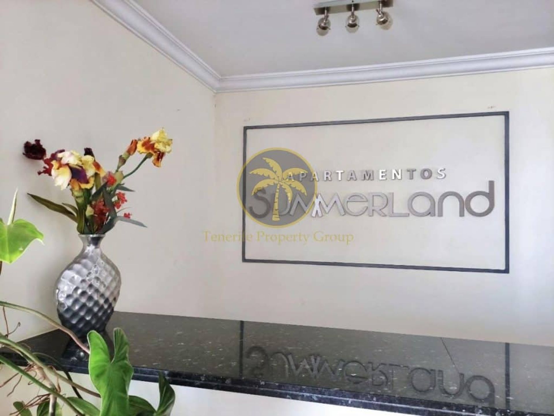 Land in Los Cristianos, Canary Islands 10146610