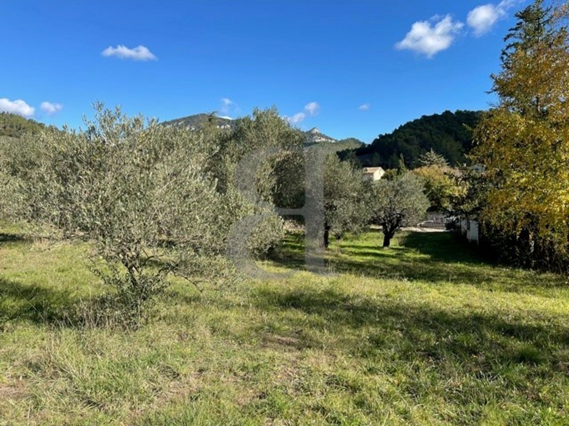 Hus i Buis-les-Baronnies, Auvergne-Rhône-Alpes 10147027