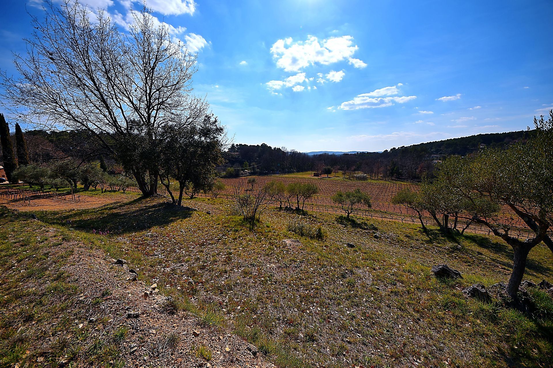 房子 在 Saint-Antonin-du-Var, Provence-Alpes-Côte d'Azur 10147143