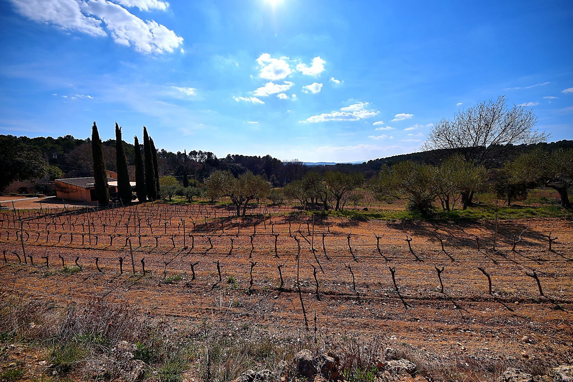 房子 在 Saint-Antonin-du-Var, Provence-Alpes-Côte d'Azur 10147143