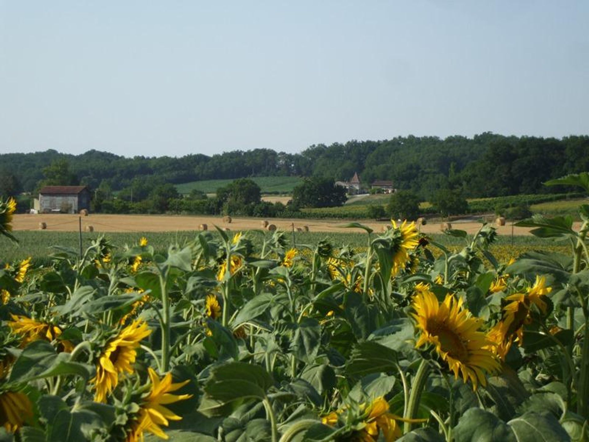 Talo sisään Lauzun, Nouvelle-Aquitaine 10147207