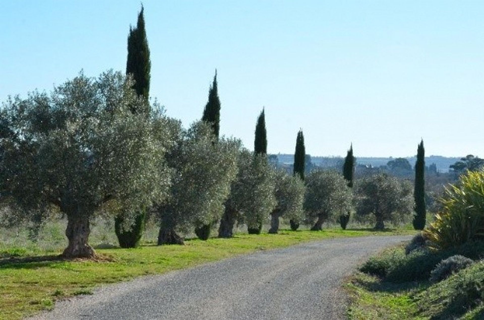 Andere in Montpellier, Occitanie 10147214