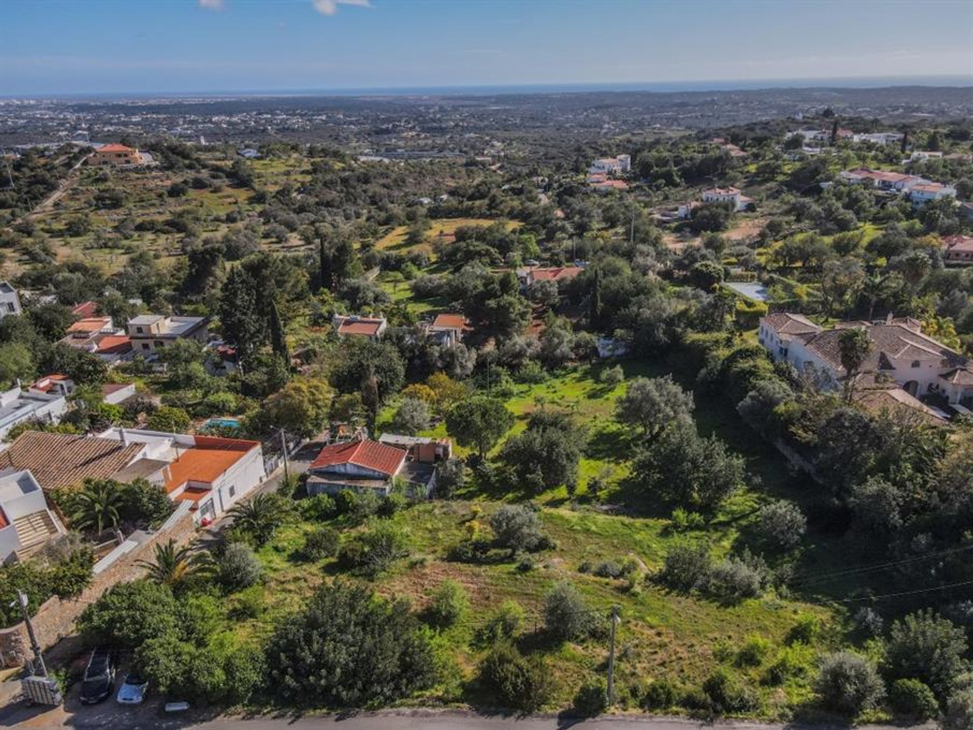 Land im Rossio ao Sul do Tejo, Santarem 10147459