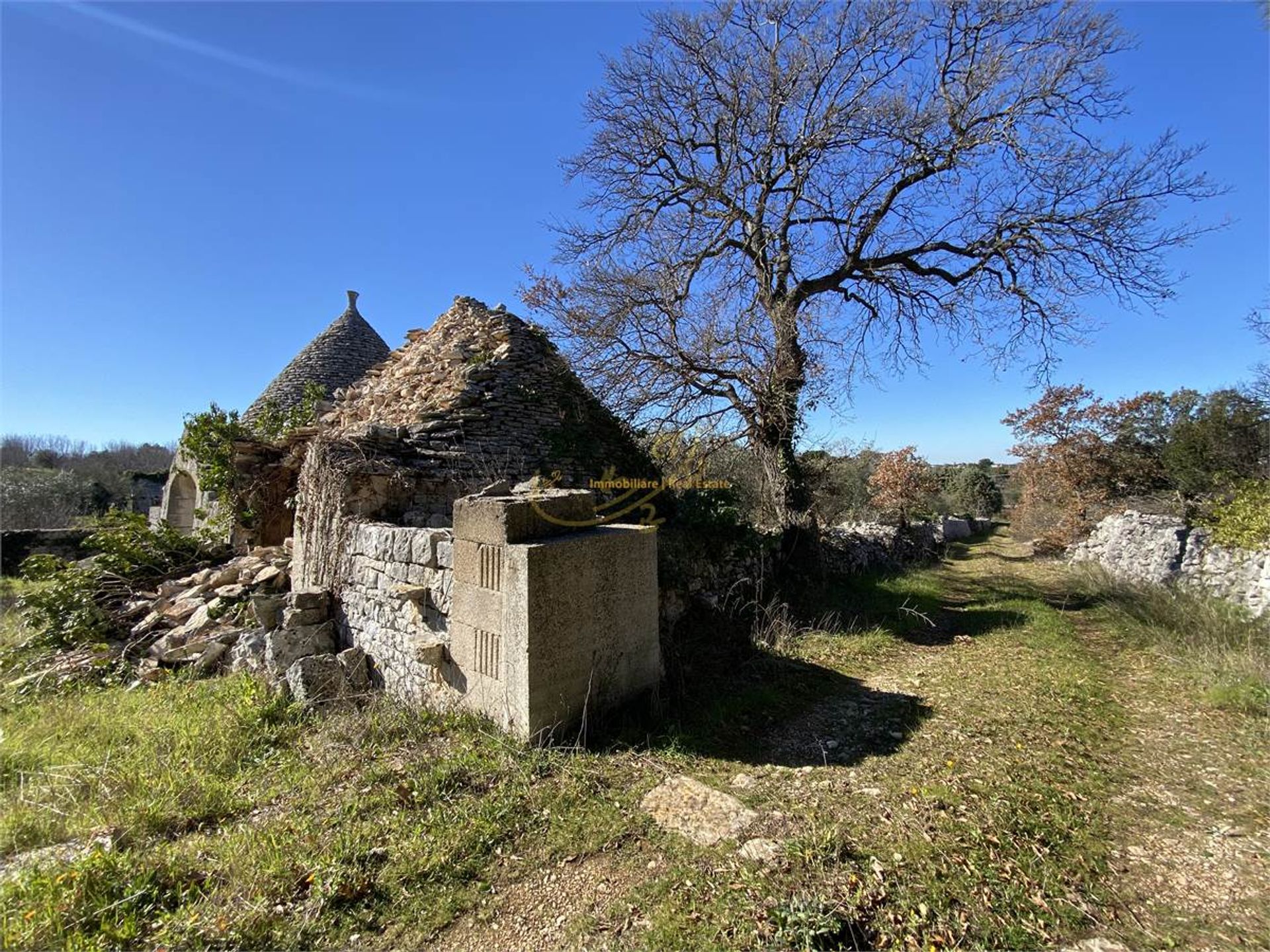 House in , Apulia 10148177