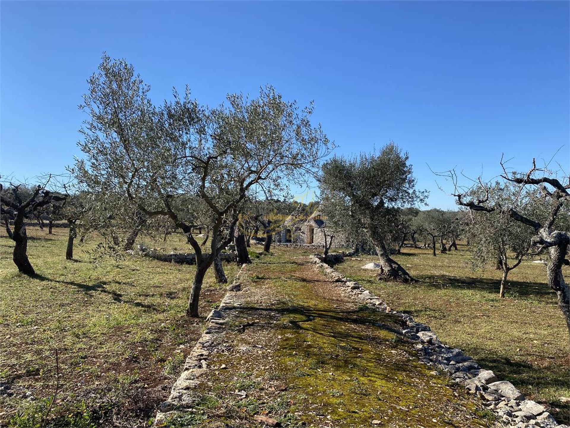 Condominium in Castellana Grotte, Puglia 10148180