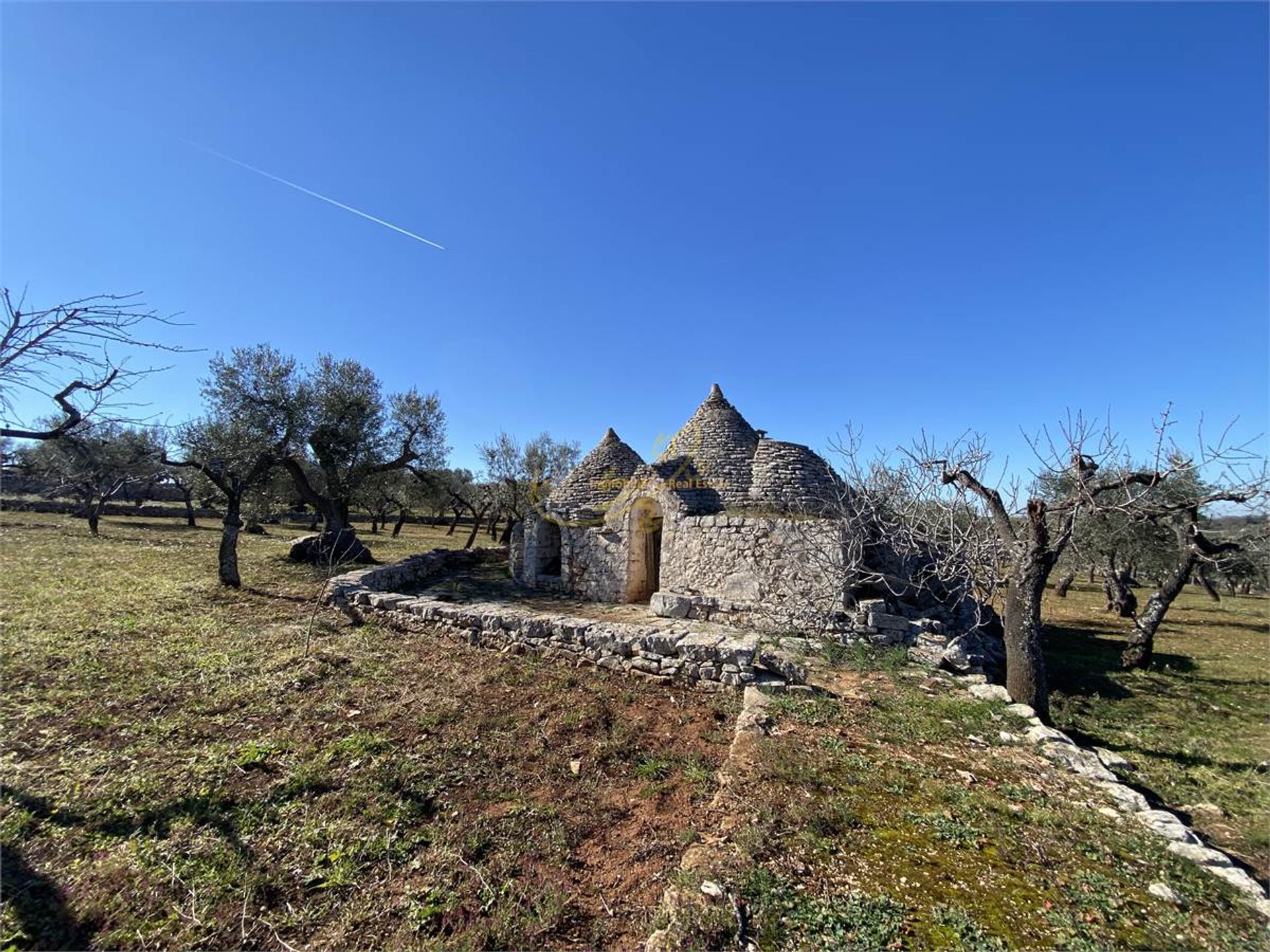 Borettslag i Castellana Grotte, Puglia 10148180