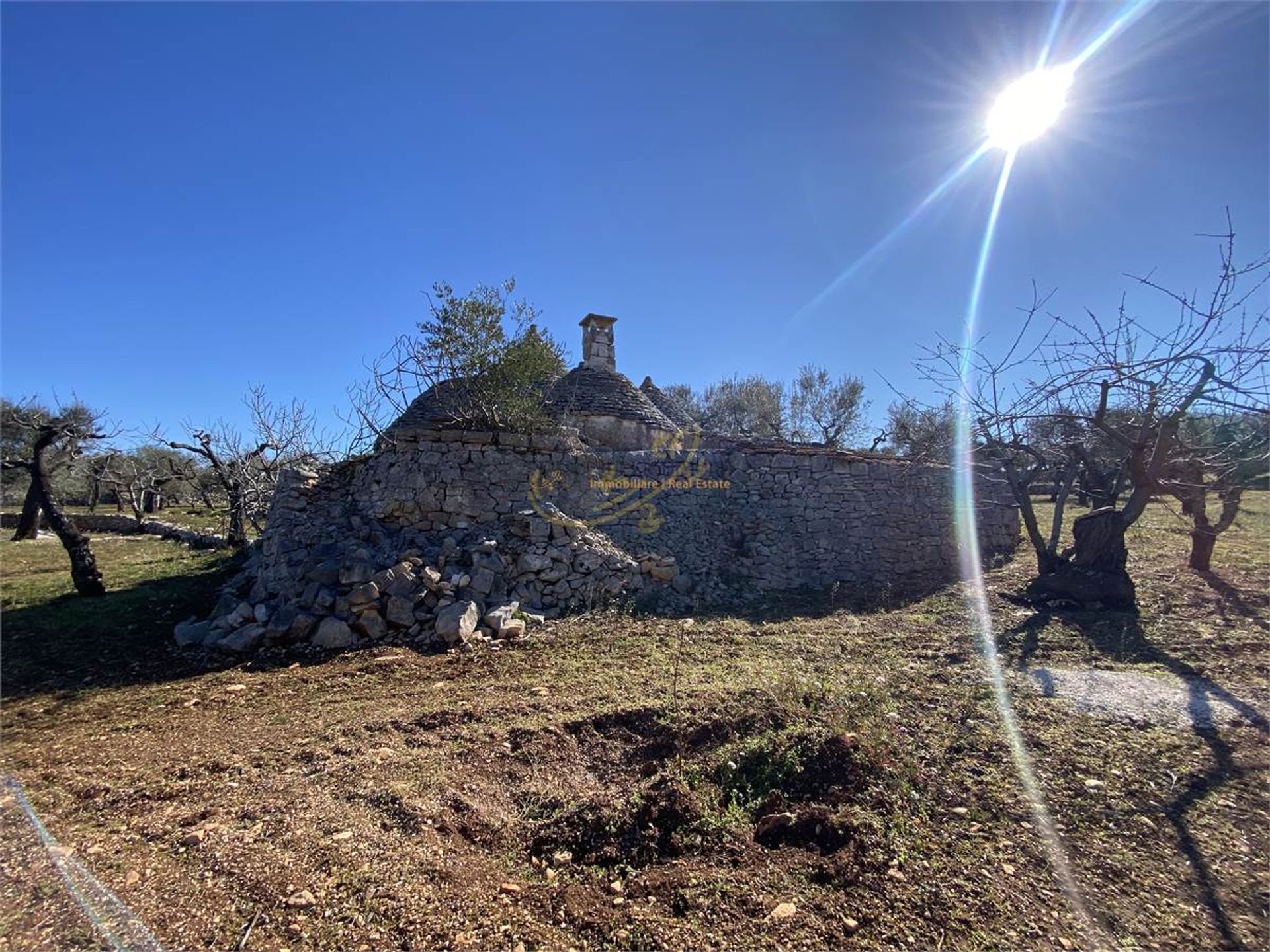 Condominium in Castellana Grotte, Apulia 10148180