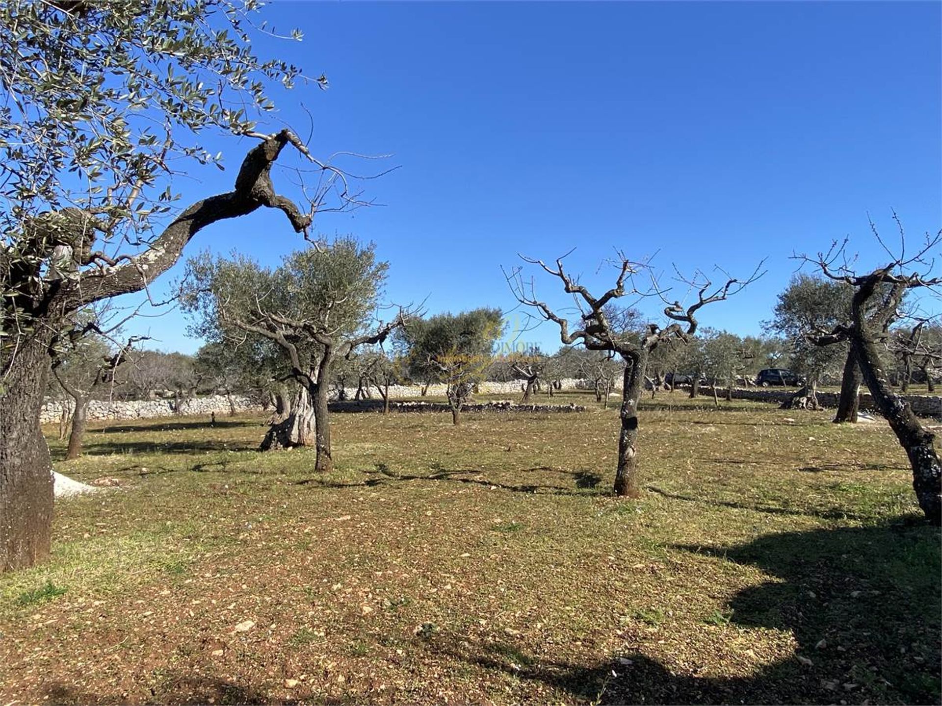 Osakehuoneisto sisään Castellana Grotte, Apulia 10148180