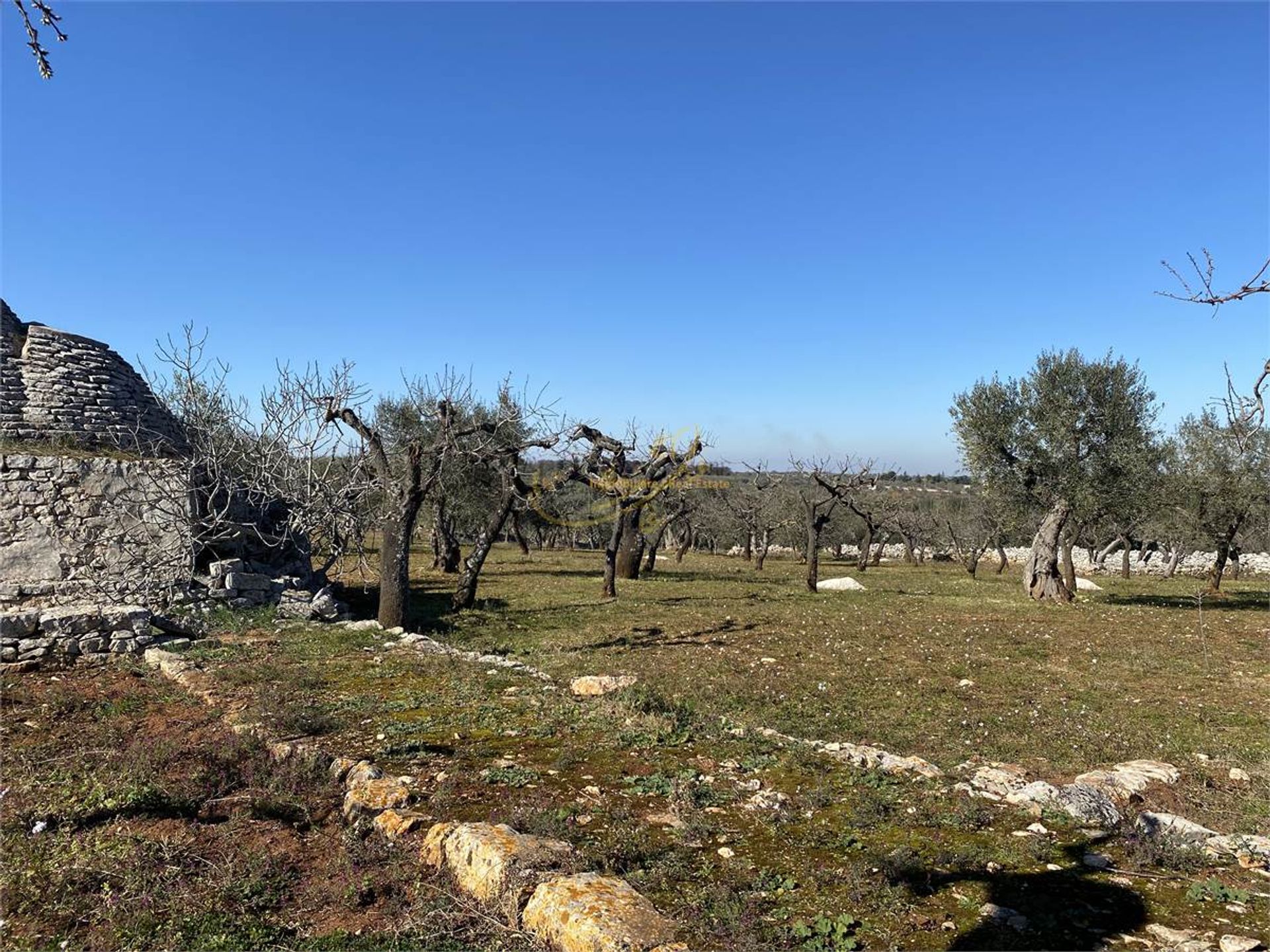 Osakehuoneisto sisään Castellana Grotte, Apulia 10148180