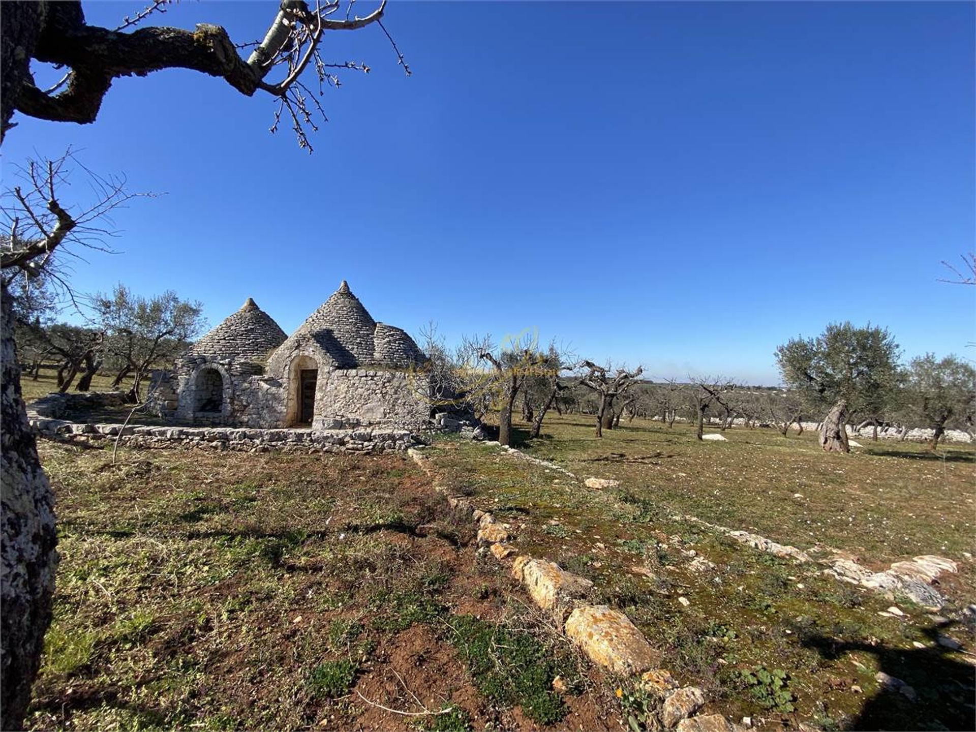 Osakehuoneisto sisään Castellana Grotte, Apulia 10148180